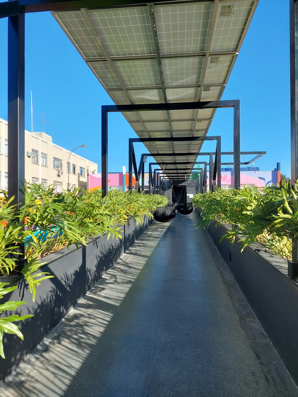 a walkway lined with lots of plants next to a building