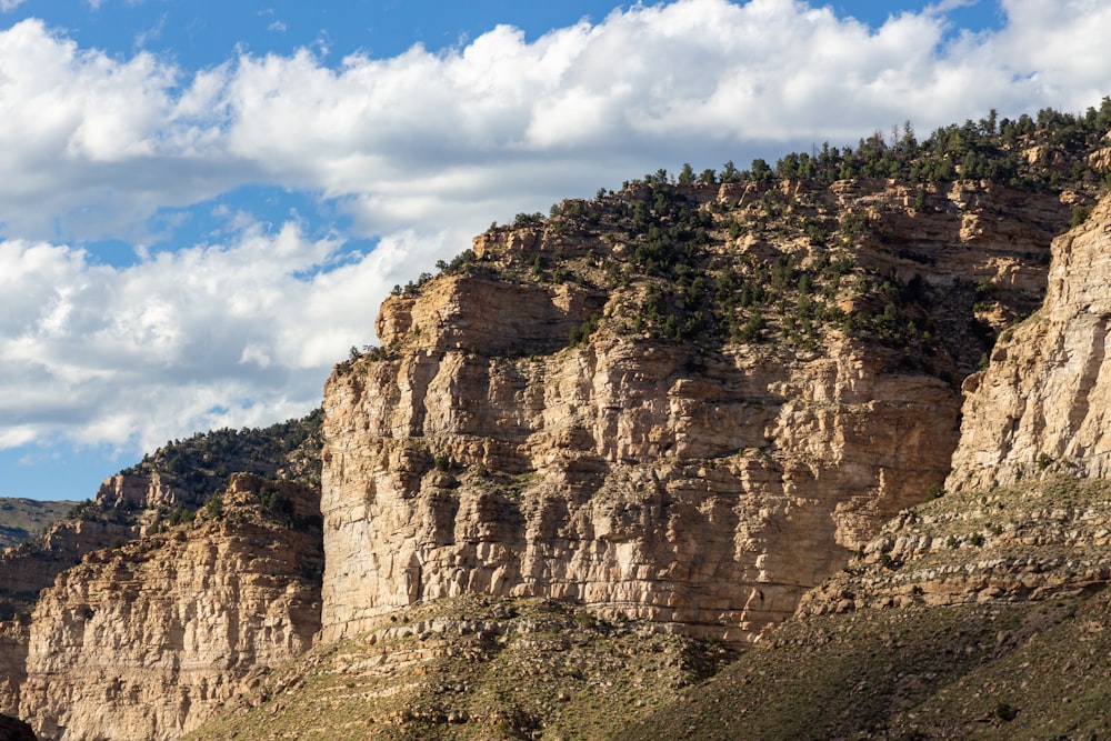 a mountain side with a few trees on the top of it