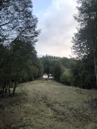 Compact steel modular house surrounded by dense forest and mountain peaks in the background.