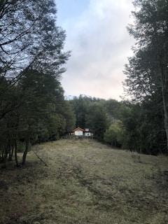 A cozy tiny house surrounded by nature.