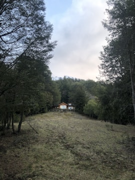 Compact steel modular house surrounded by dense forest and mountain peaks in the background.