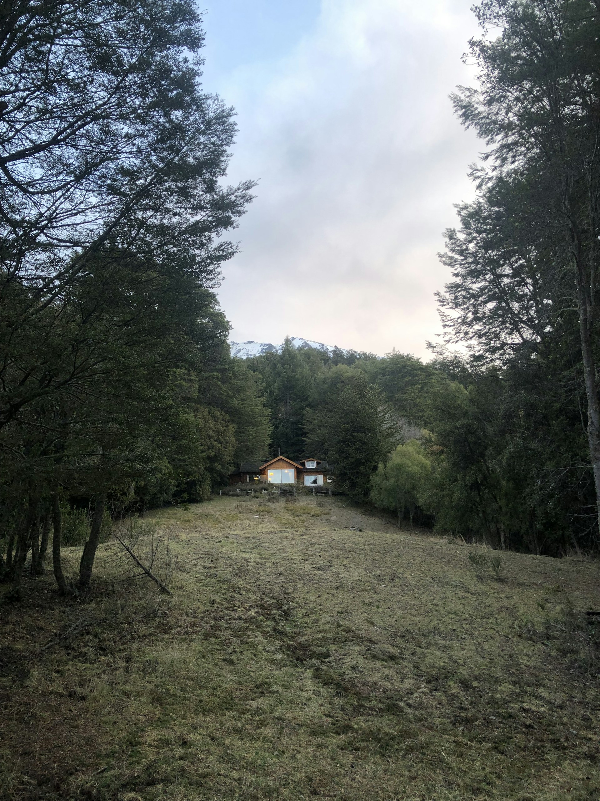 black and brown leather padded tub sofa