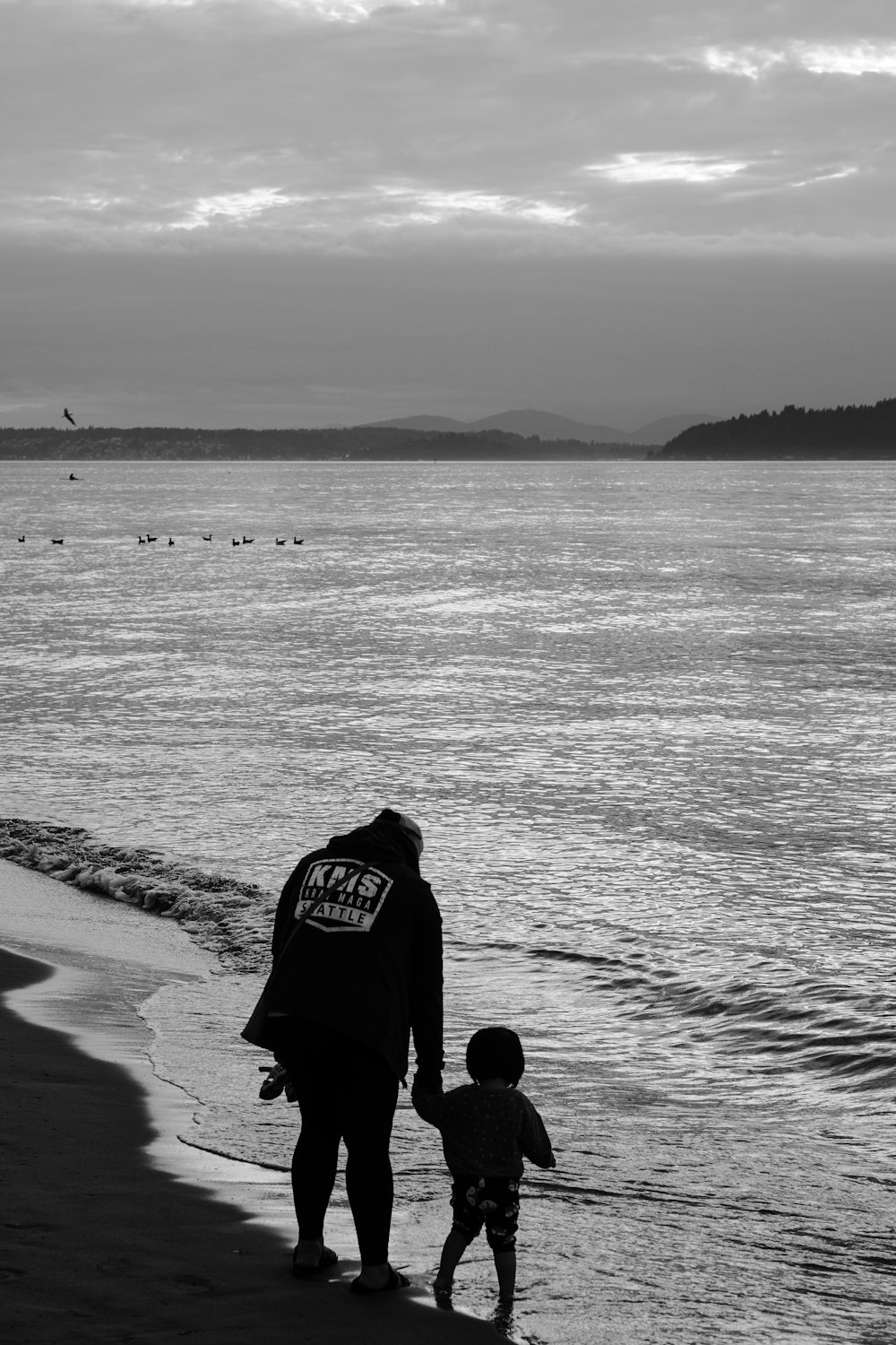 a man and a child are walking on the beach