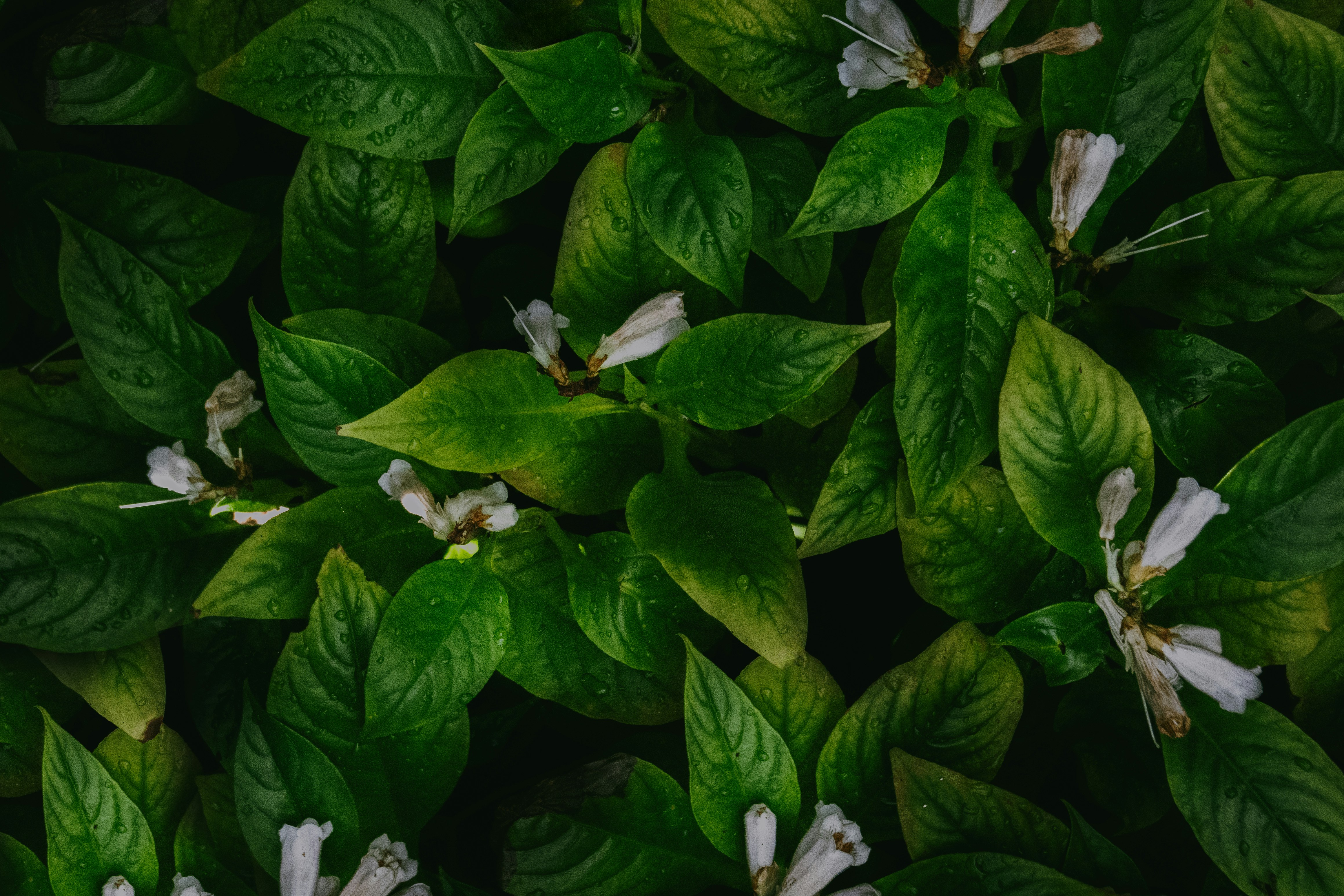 Photo by sofia_rotaru