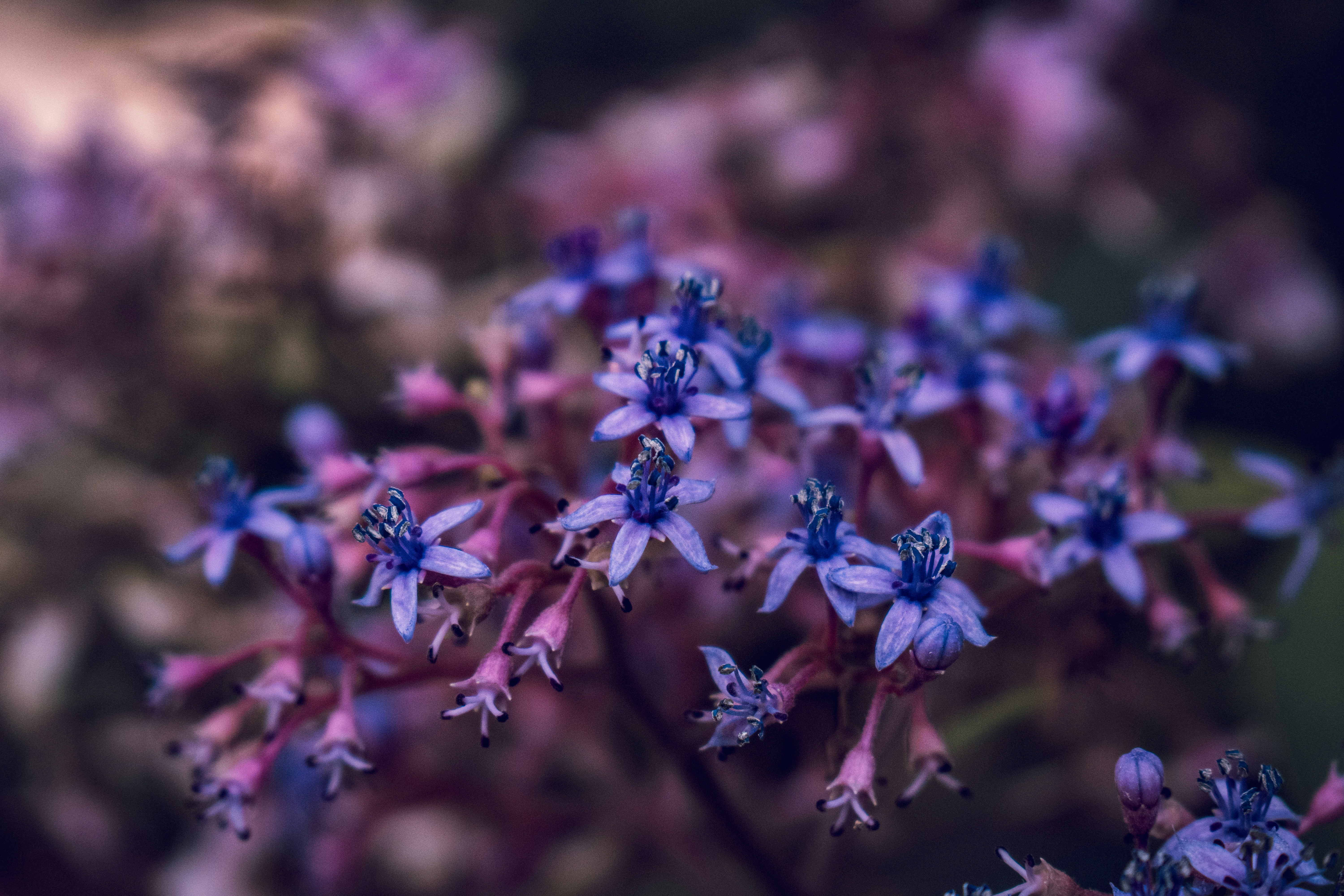 Photo by sofia_rotaru