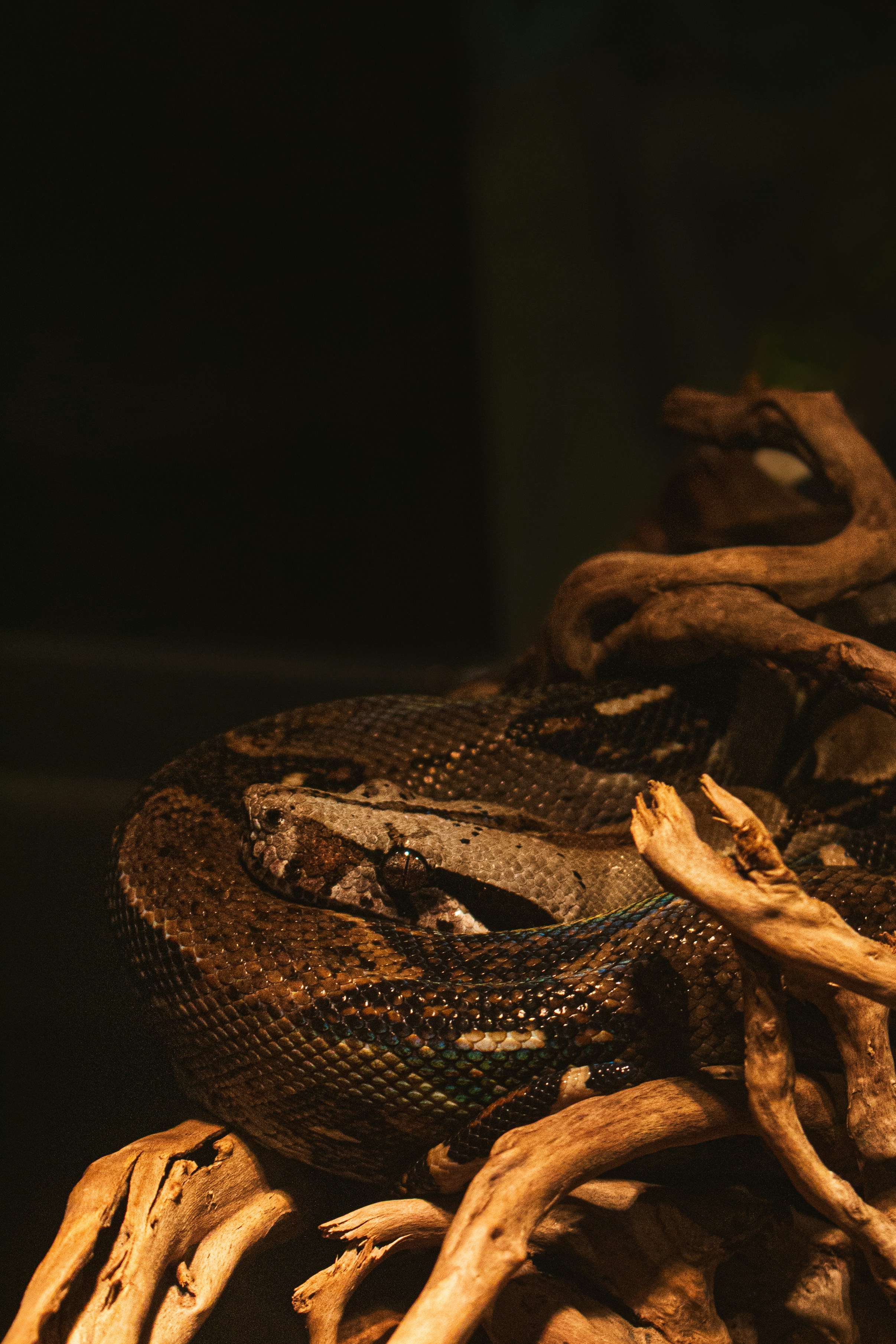 Photo by sofia_rotaru