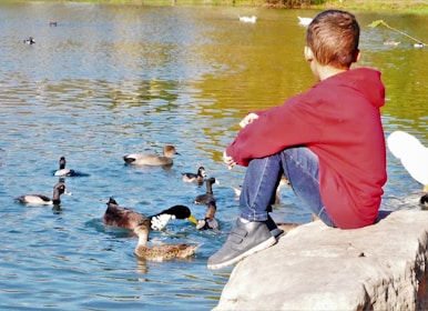 A toddler curiously watching ducks at a peaceful city park pond during a sunny afternoon.