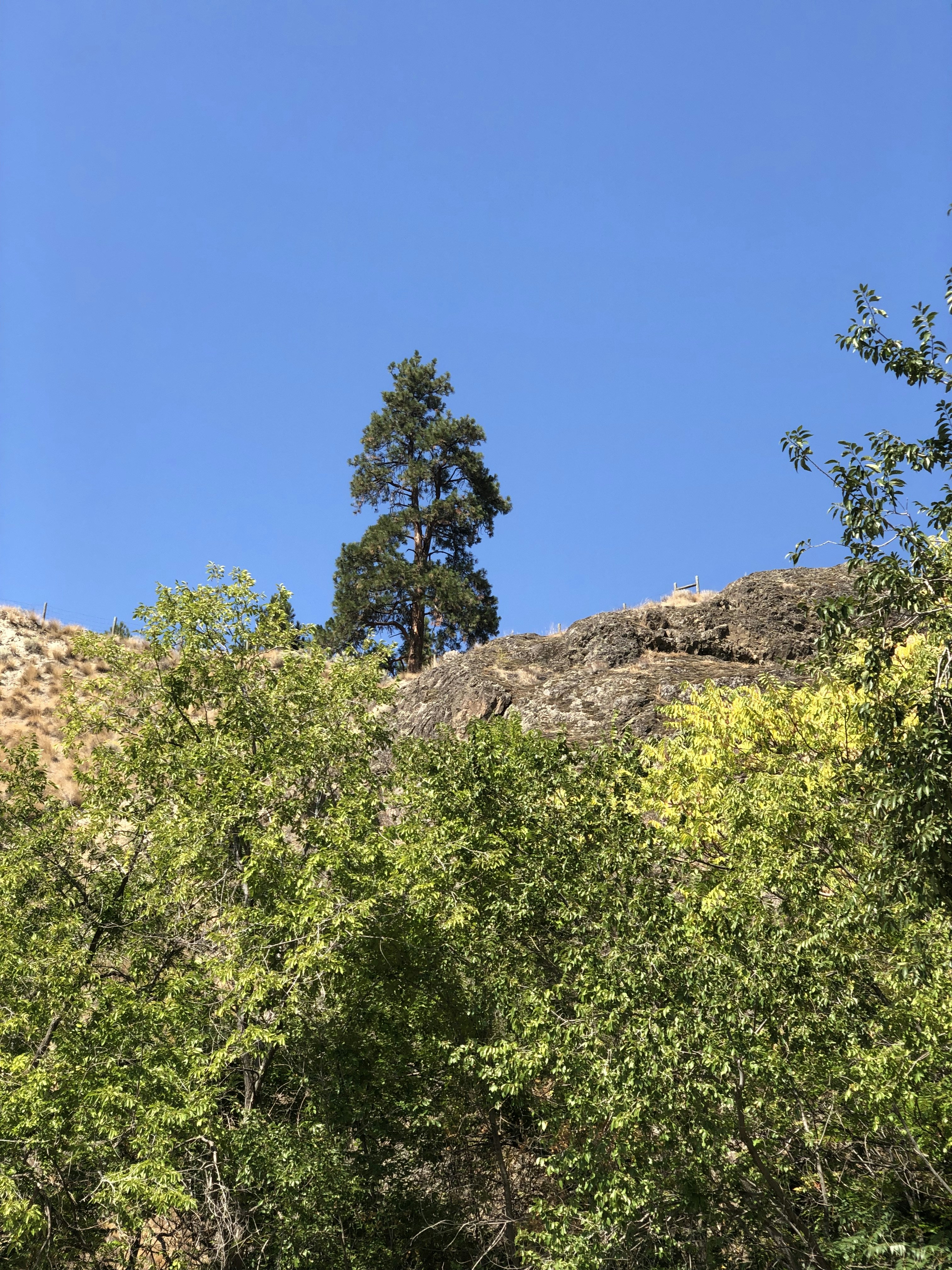 Photo by liberatetheimage