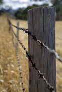 A wooden fence post stands prominently in the foreground with barbed wire wrapped around it, stretching into the distance at an angle that suggests a boundary. The background shows a blurred field of dry grass, hinting at a rural setting, with trees and sky slightly visible.