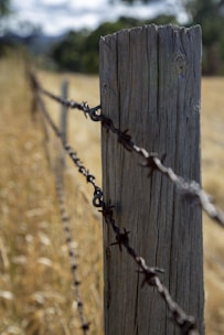 A wooden fence post stands prominently in the foreground with barbed wire wrapped around it, stretching into the distance at an angle that suggests a boundary. The background shows a blurred field of dry grass, hinting at a rural setting, with trees and sky slightly visible.