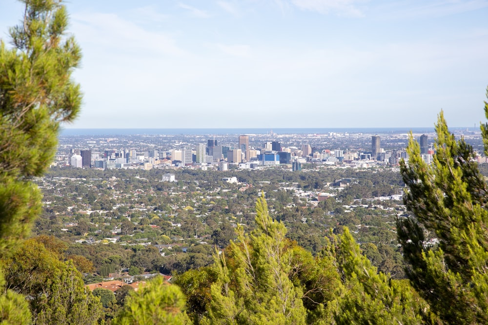 a view of a city from the top of a hill