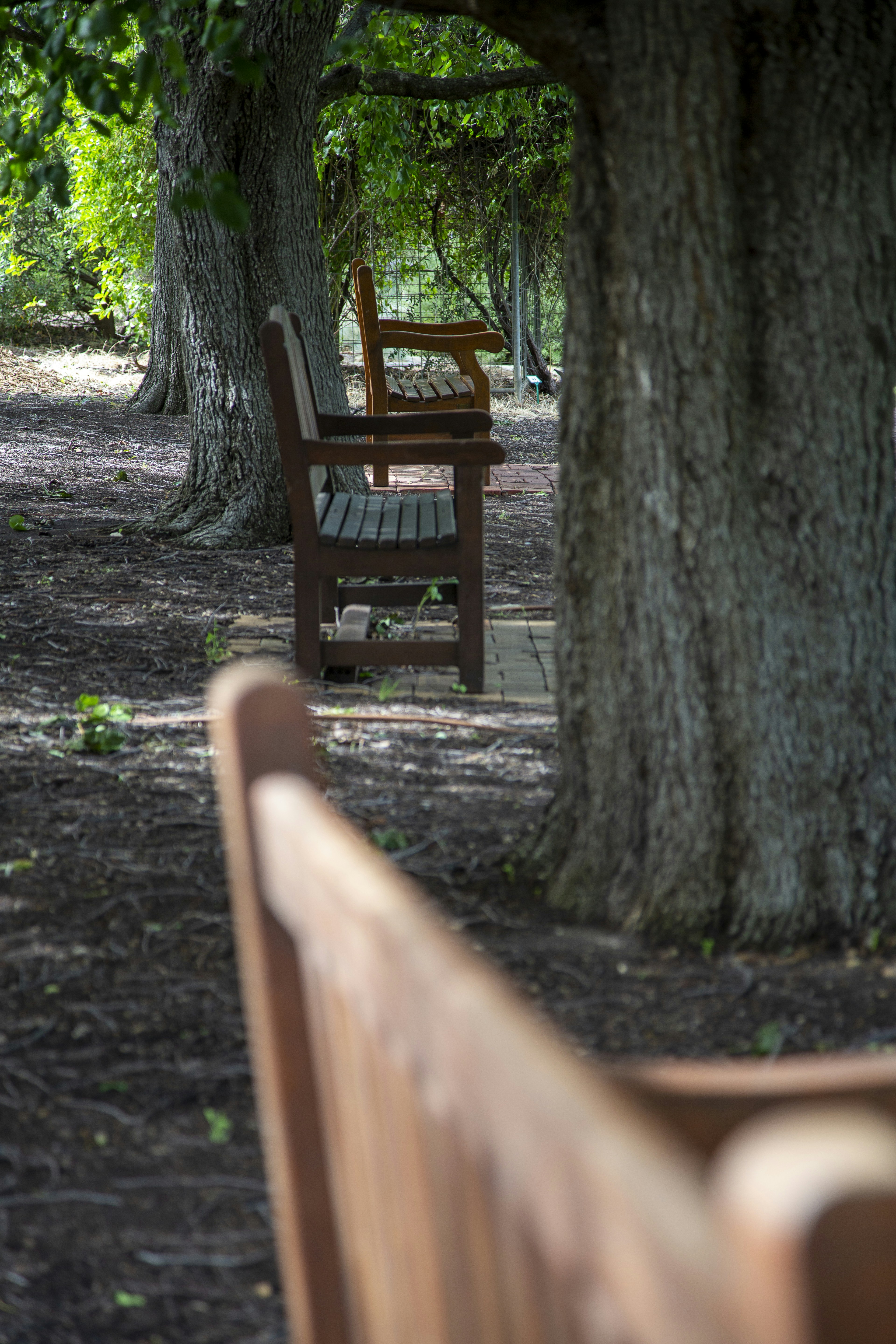 Photo by stephenmabbs