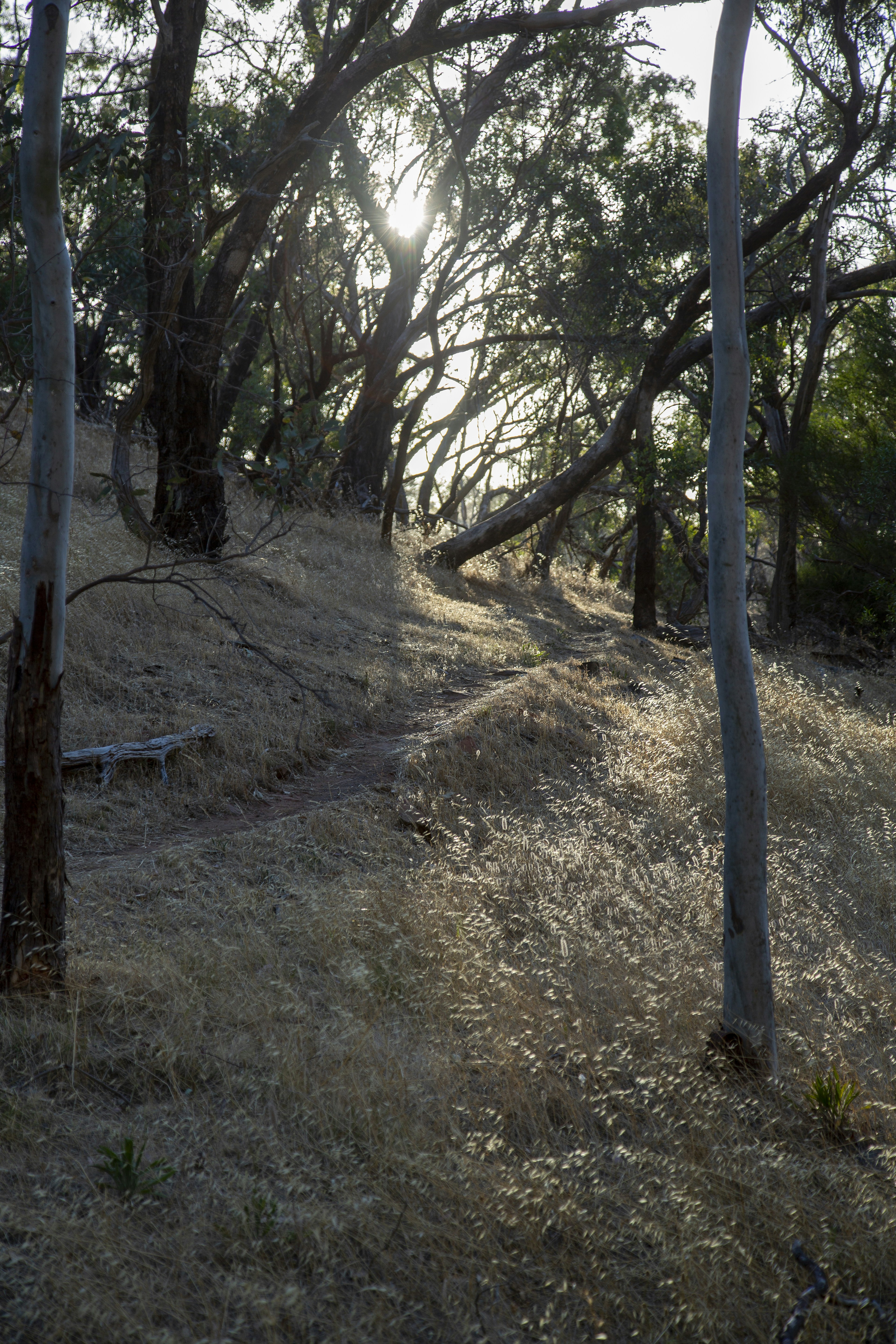 Photo by stephenmabbs