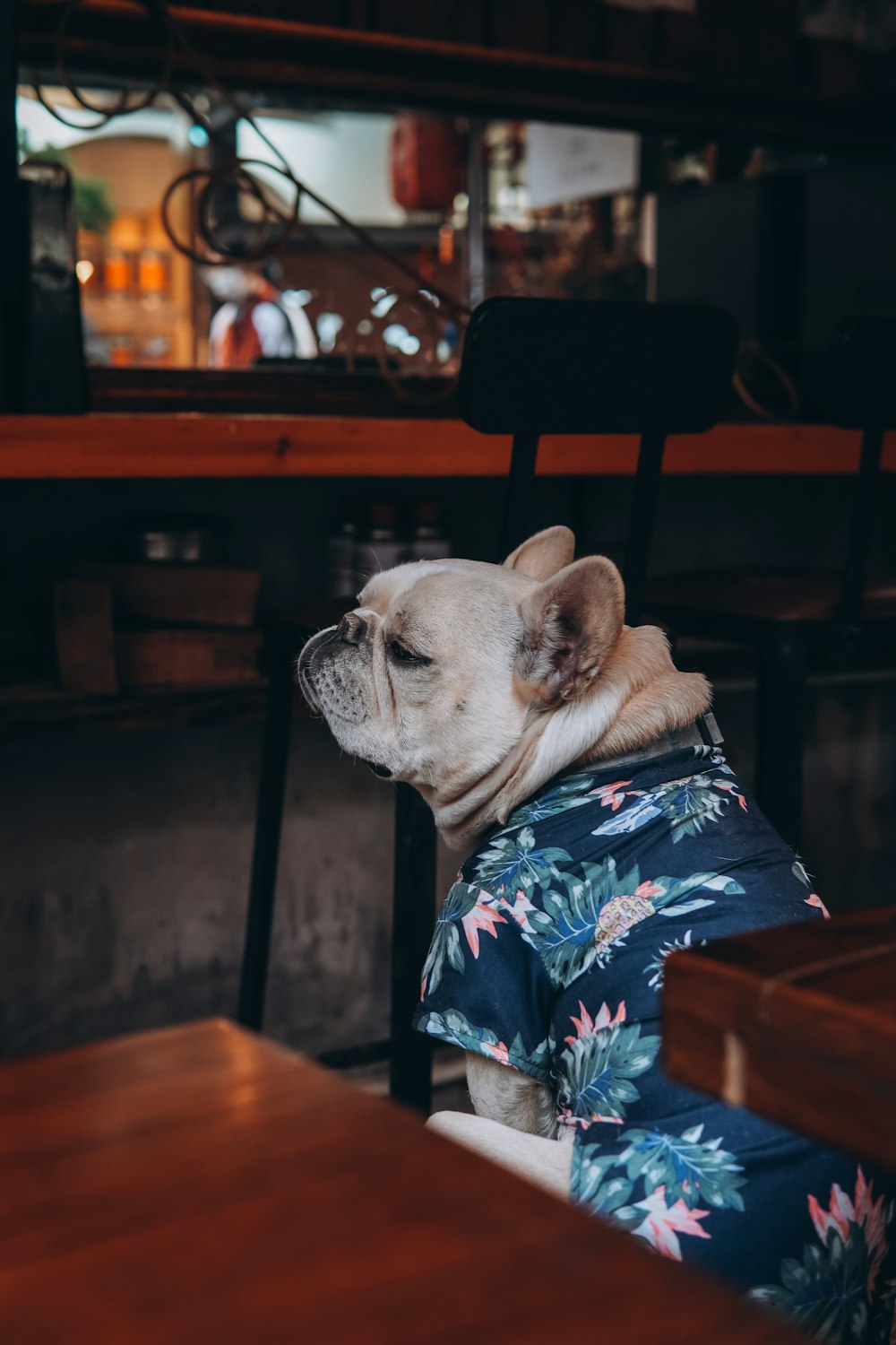 a small dog wearing a shirt sitting at a table