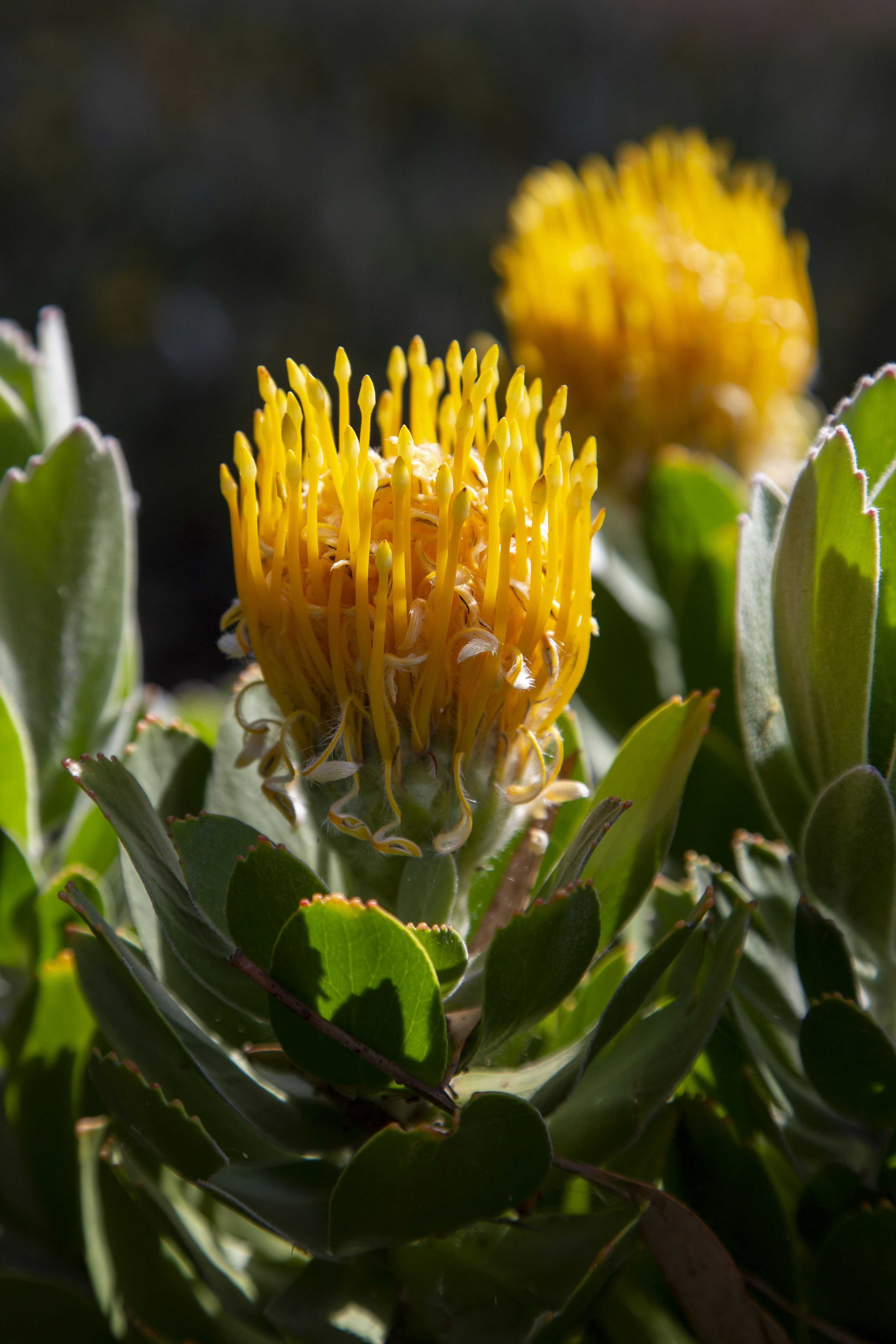 Photo by stephenmabbs