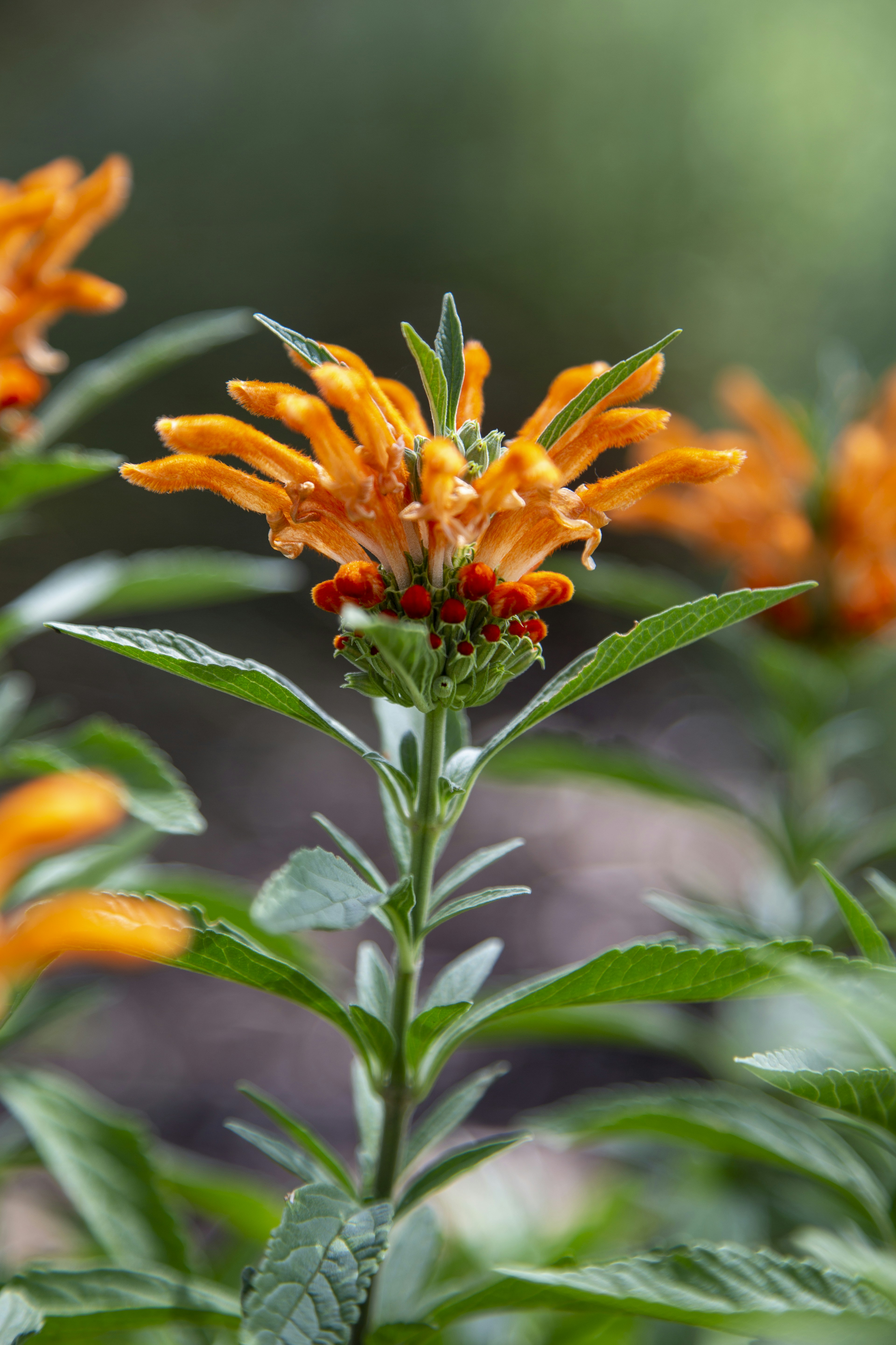 Photo by stephenmabbs