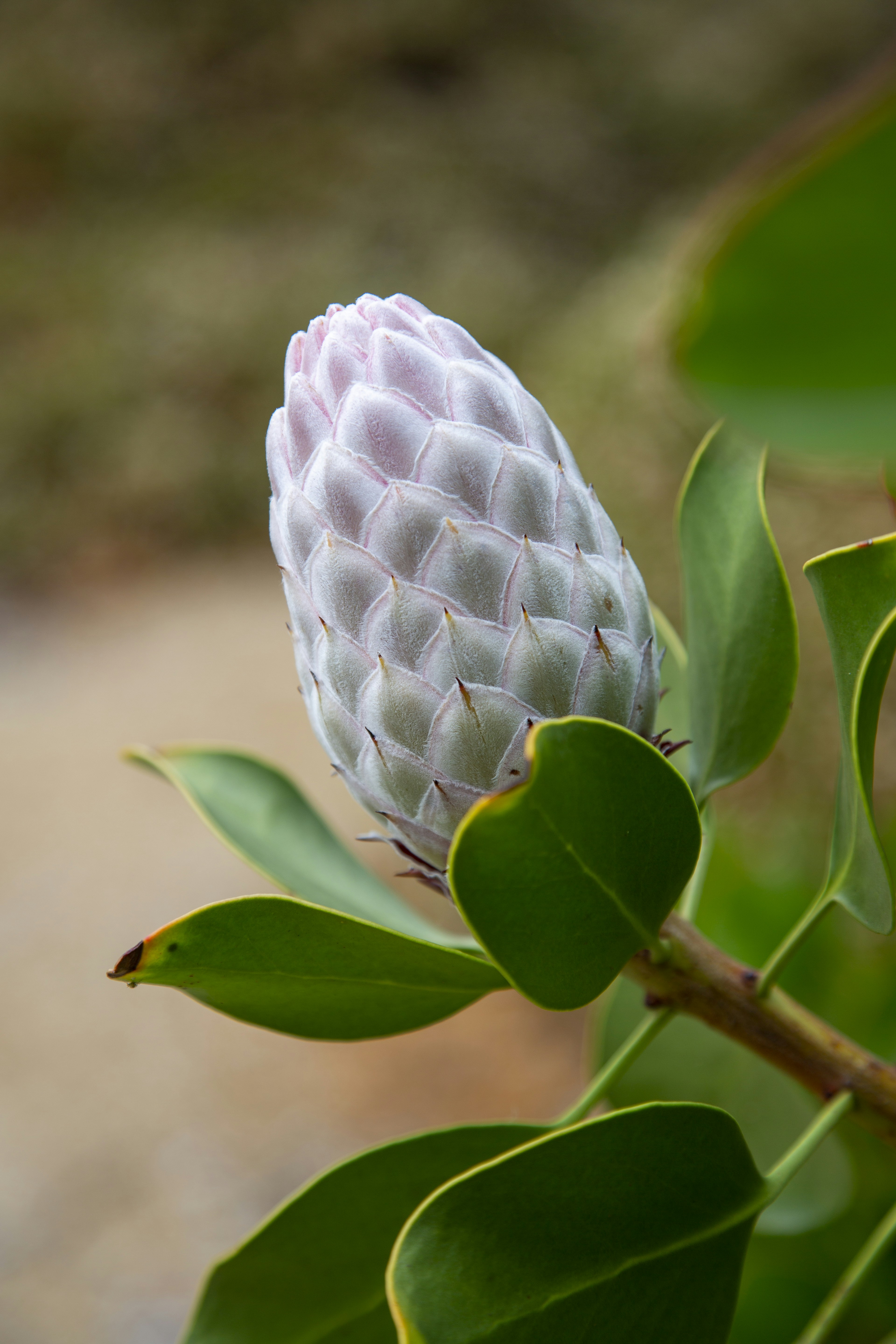 Photo by stephenmabbs