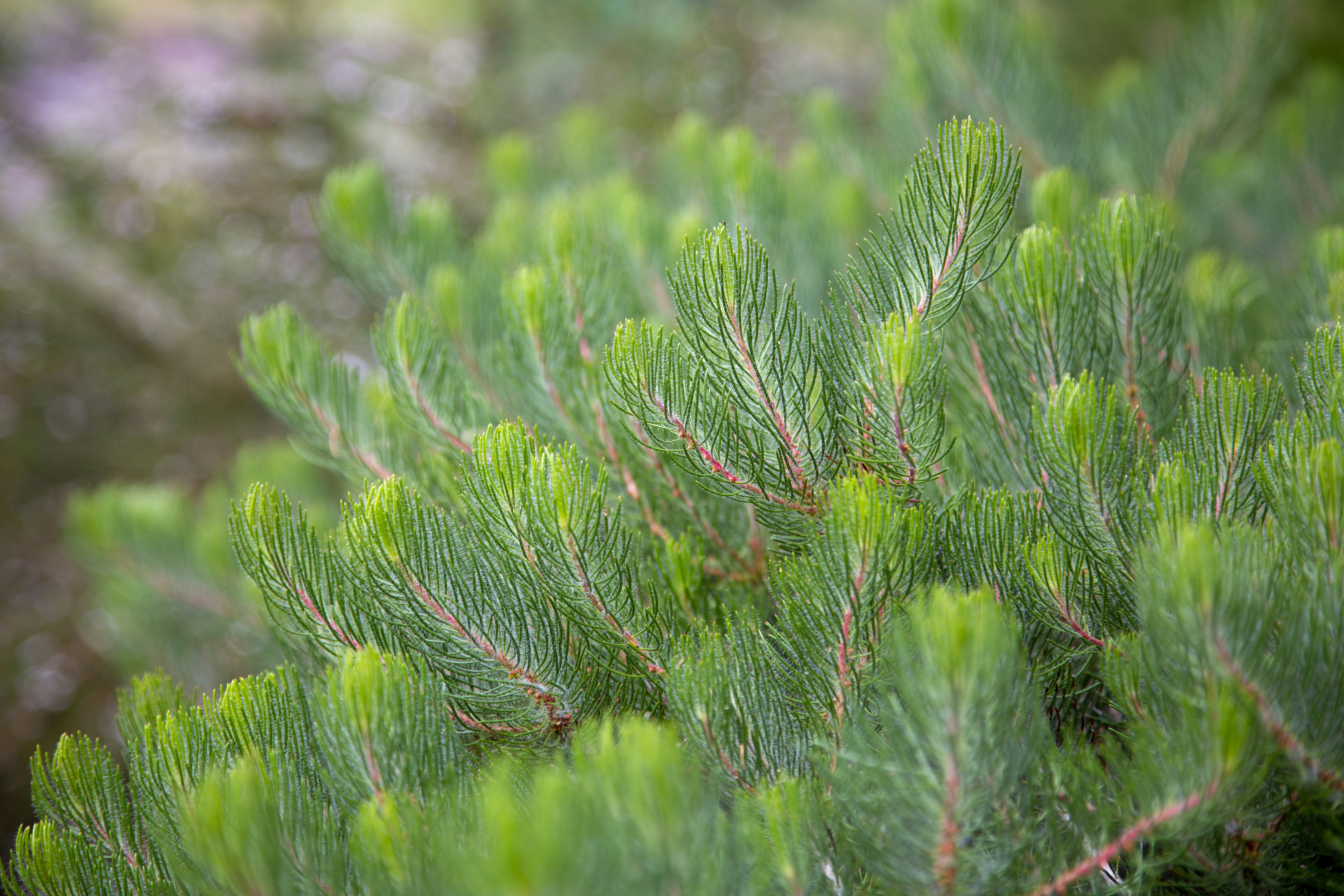 Photo by stephenmabbs