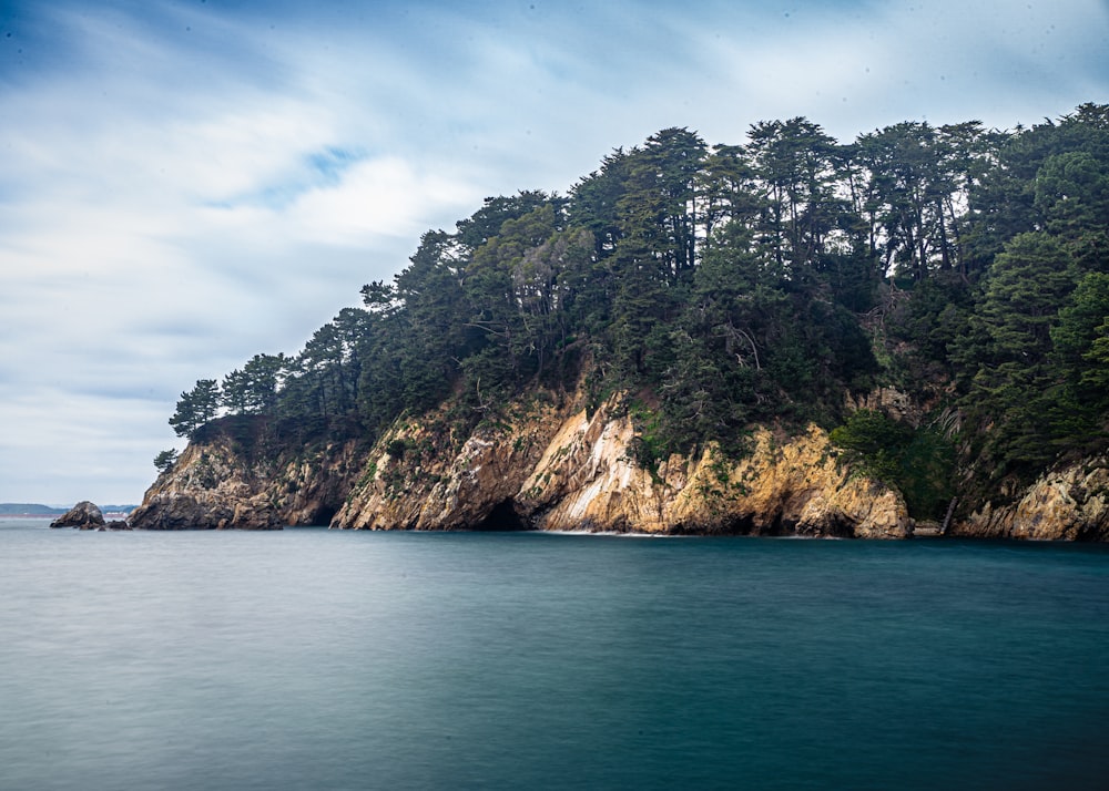 a large body of water surrounded by trees