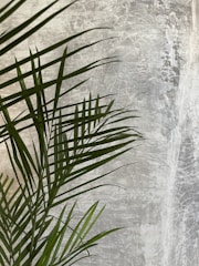 Detail of a golden palm leaf logo on a textured wall, symbolizing Casa Maui's unique approach.