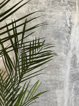 Detail of a golden palm leaf logo on a textured wall, symbolizing Casa Maui's unique approach.