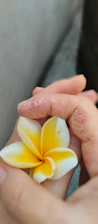 Close-up of hands gently holding tropical flower petals, symbolizing care and transformation.