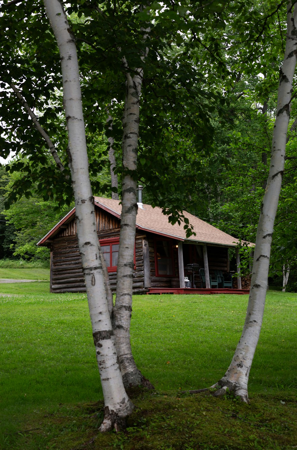 a cabin nestled between two trees in a field