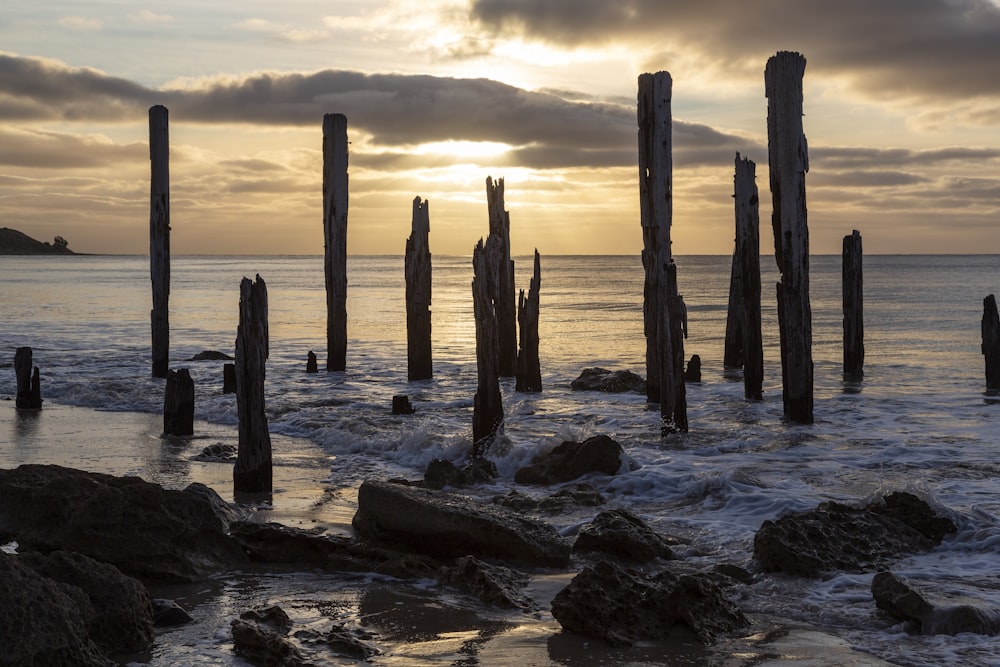 a bunch of poles sticking out of the water