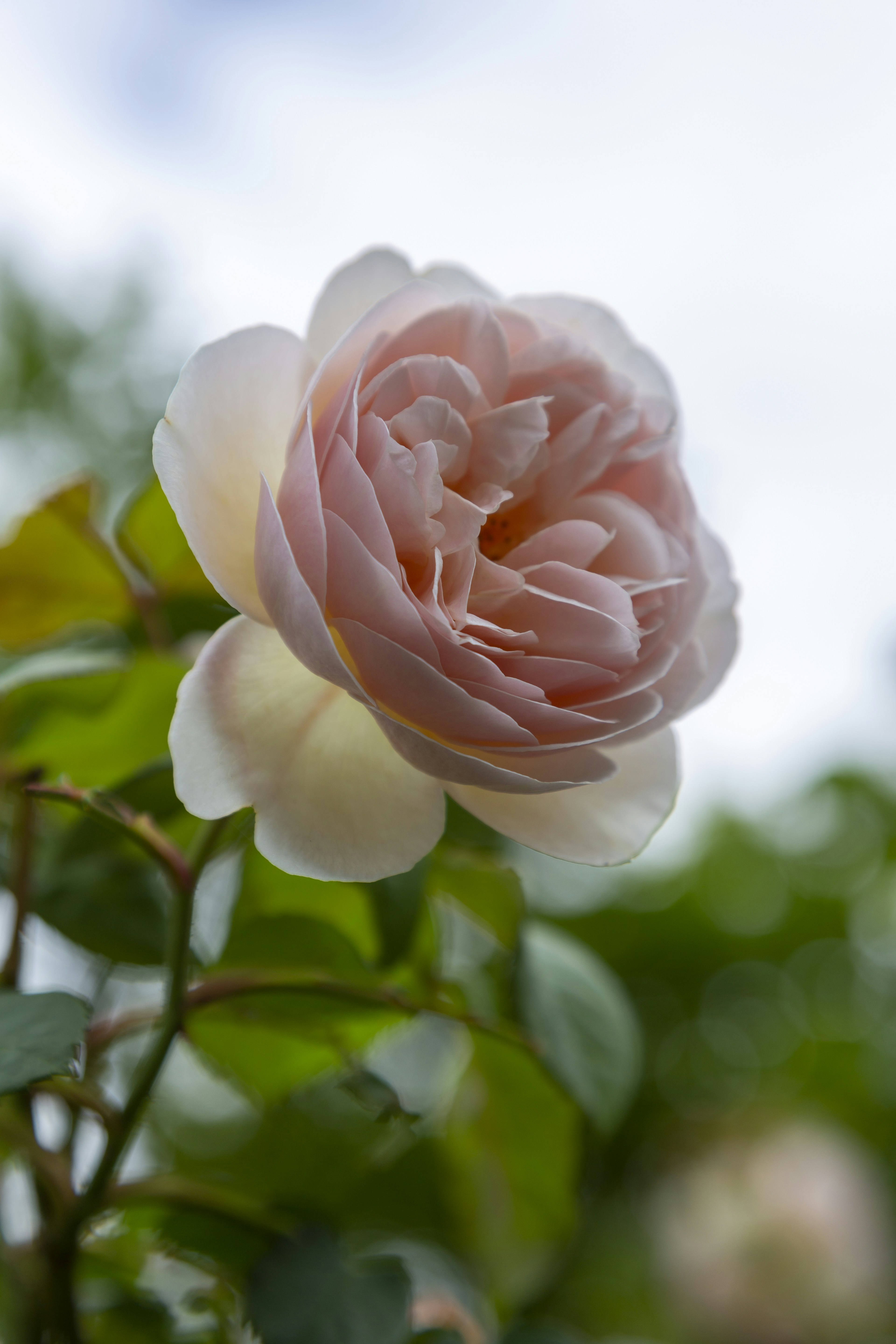 Photo by stephenmabbs