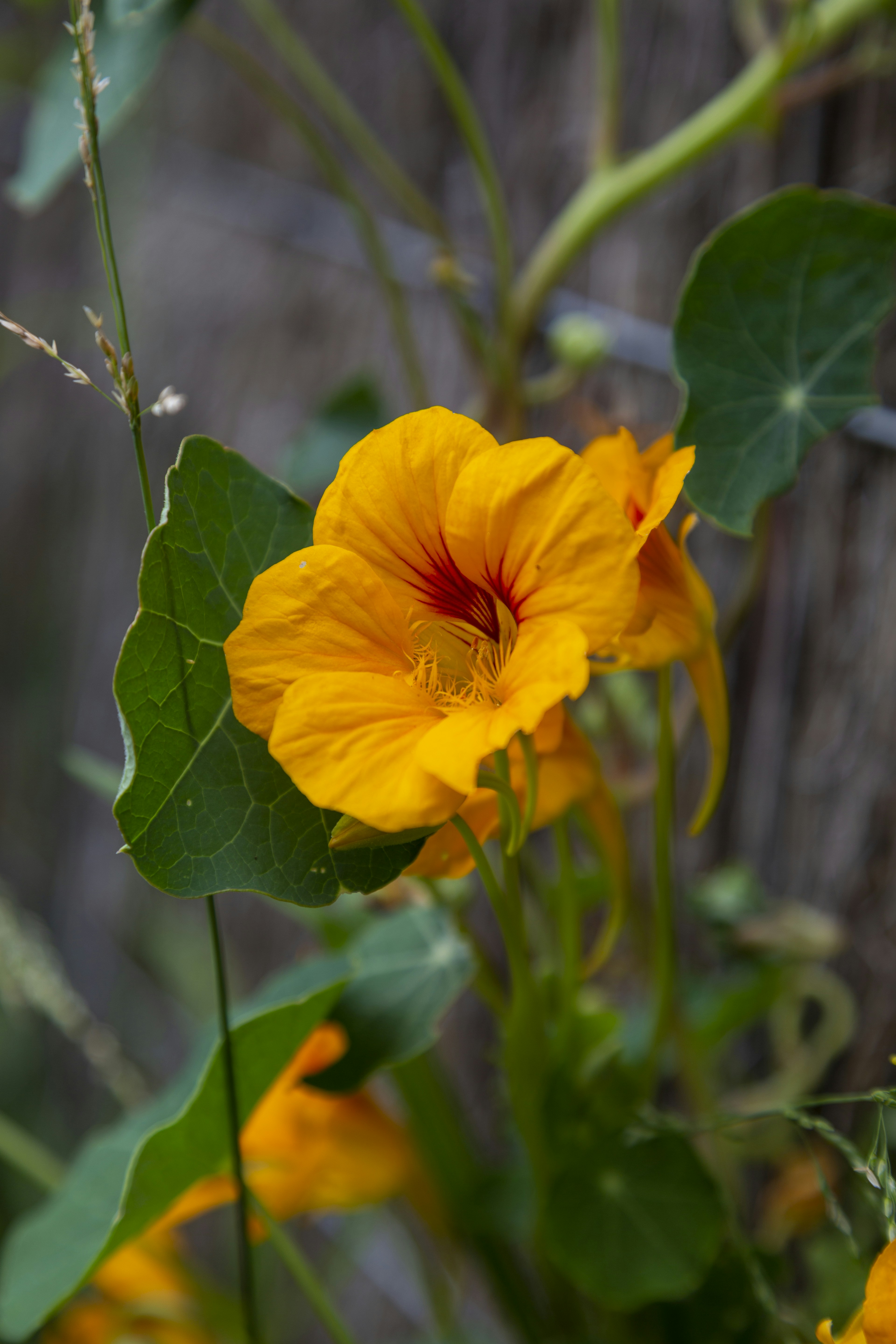 Photo by stephenmabbs