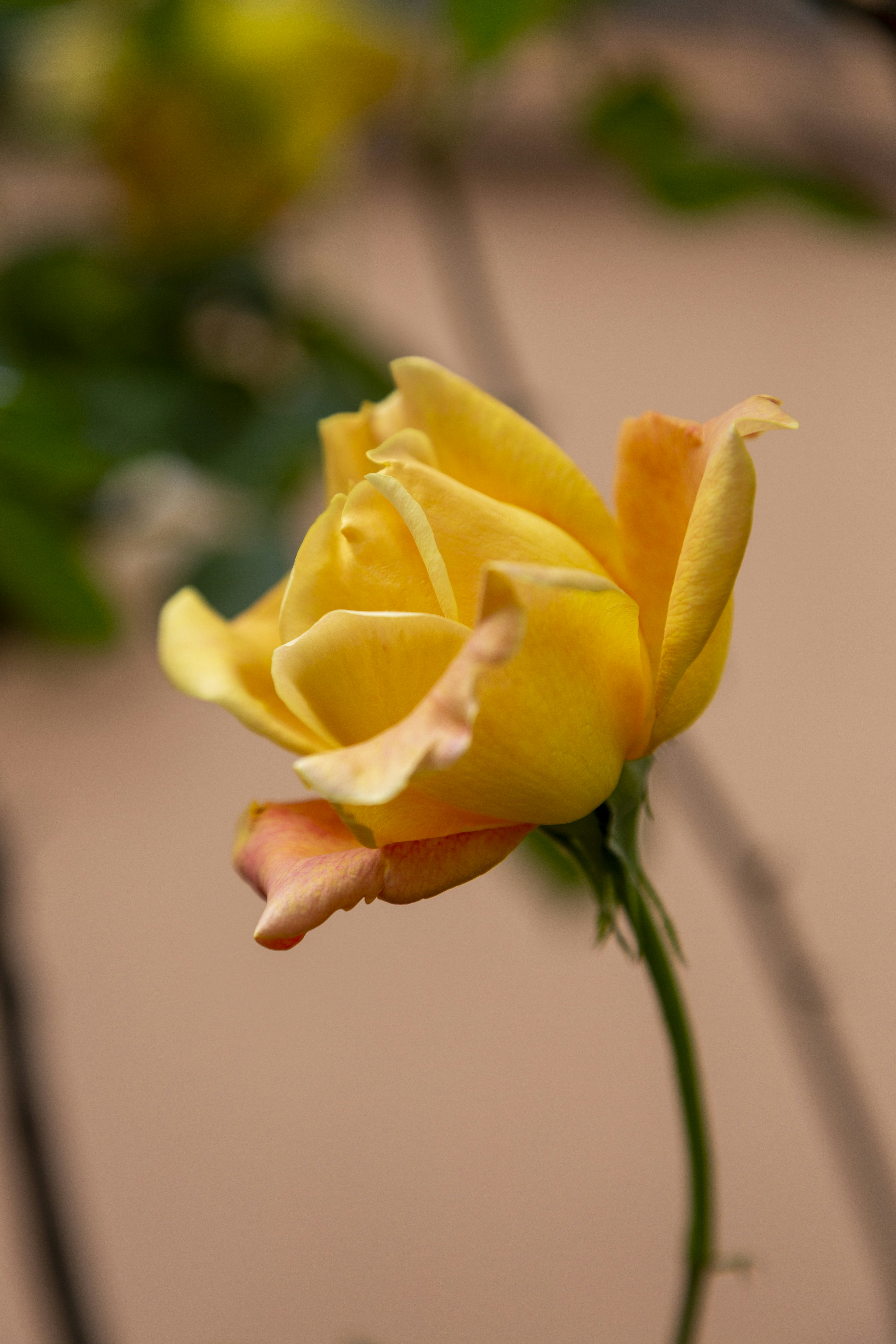 Photo by stephenmabbs