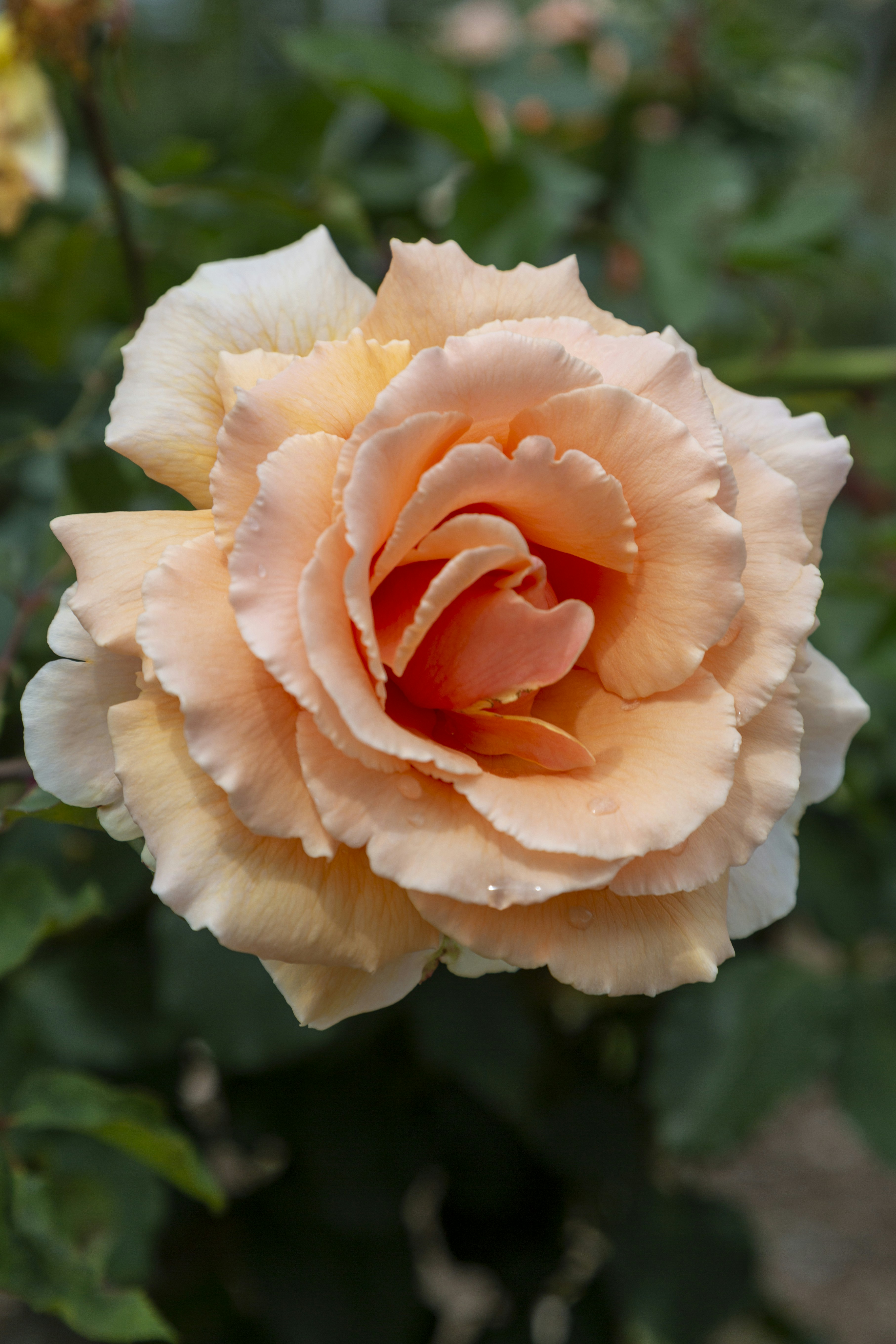 Photo by stephenmabbs