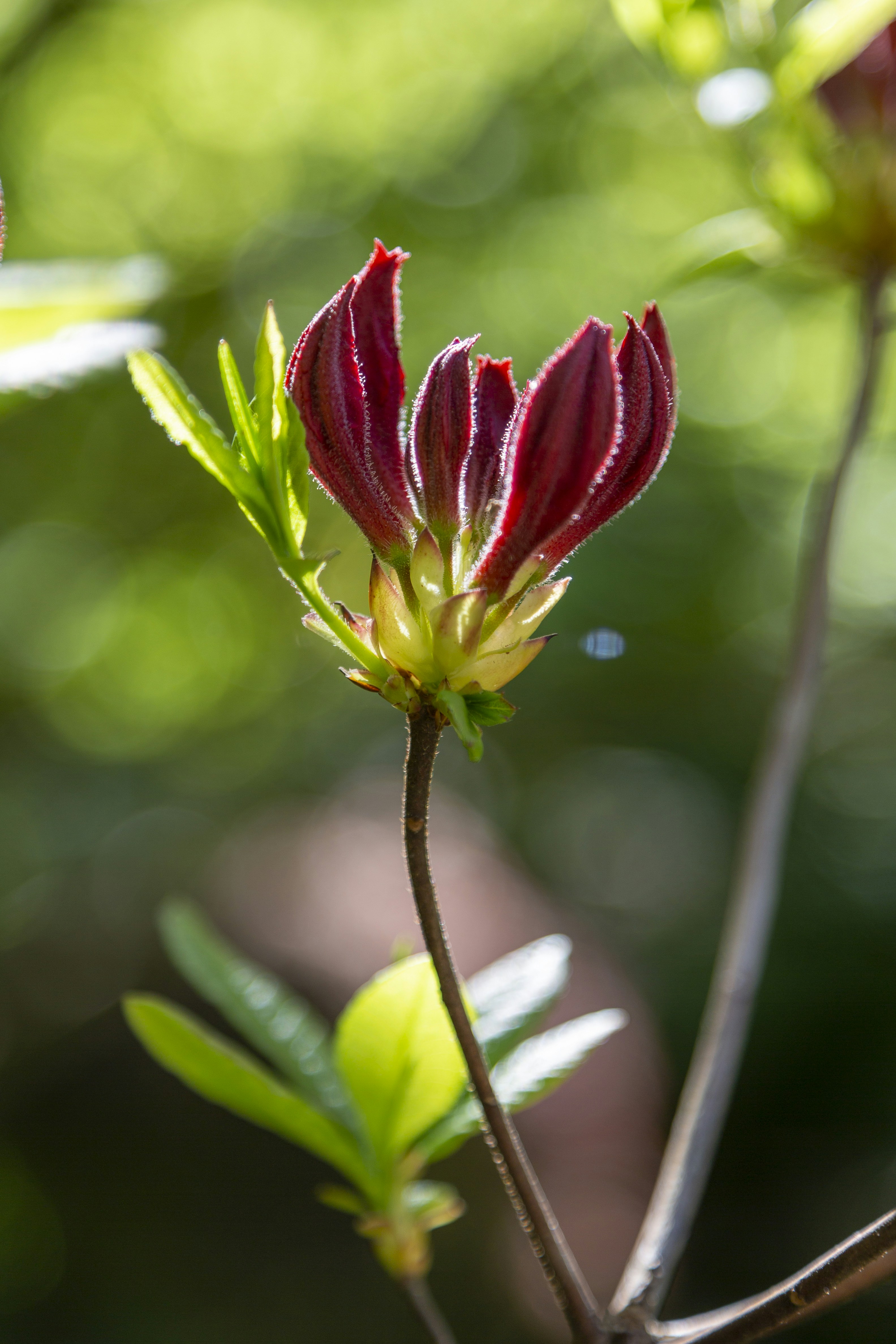 Photo by stephenmabbs