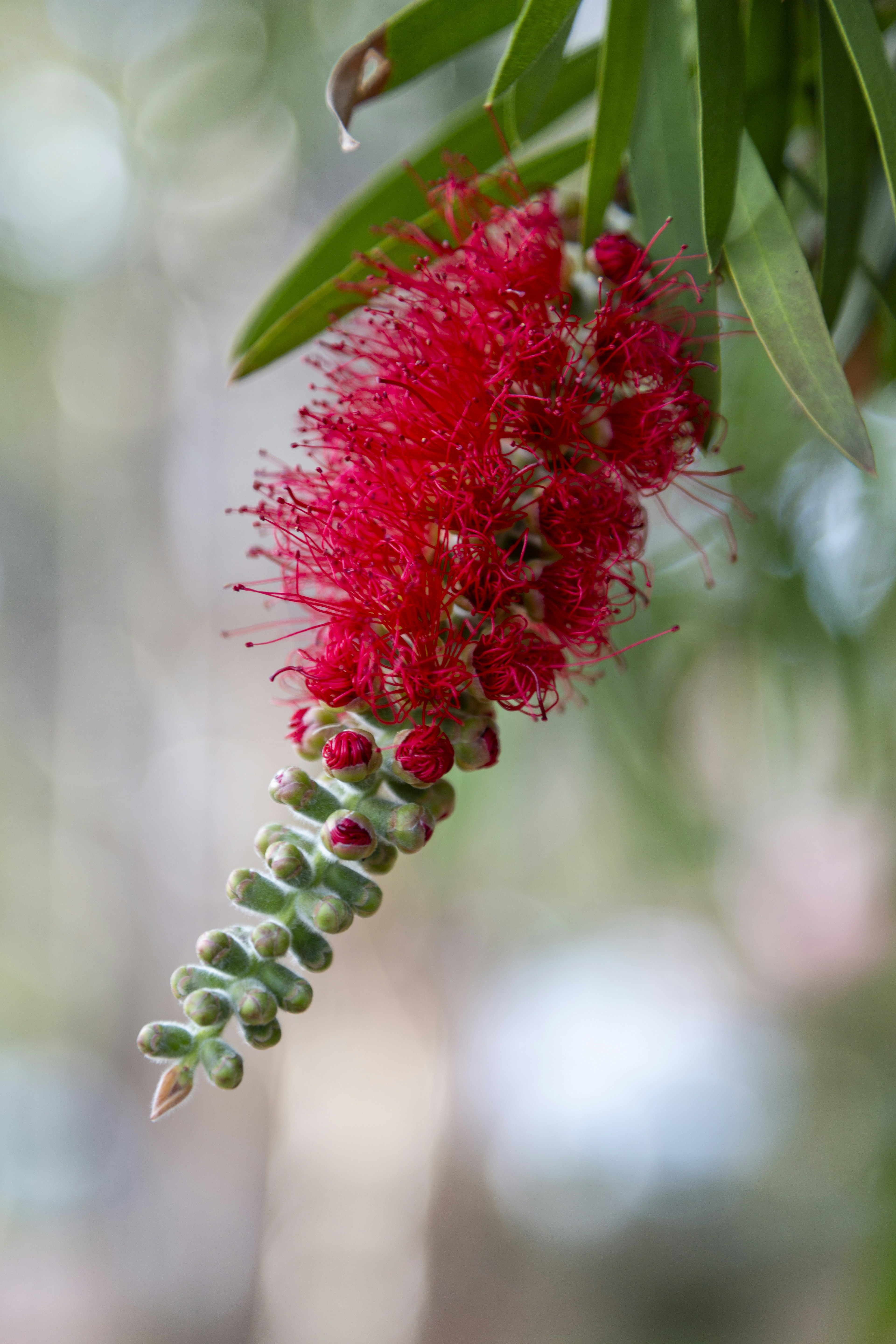 Photo by stephenmabbs