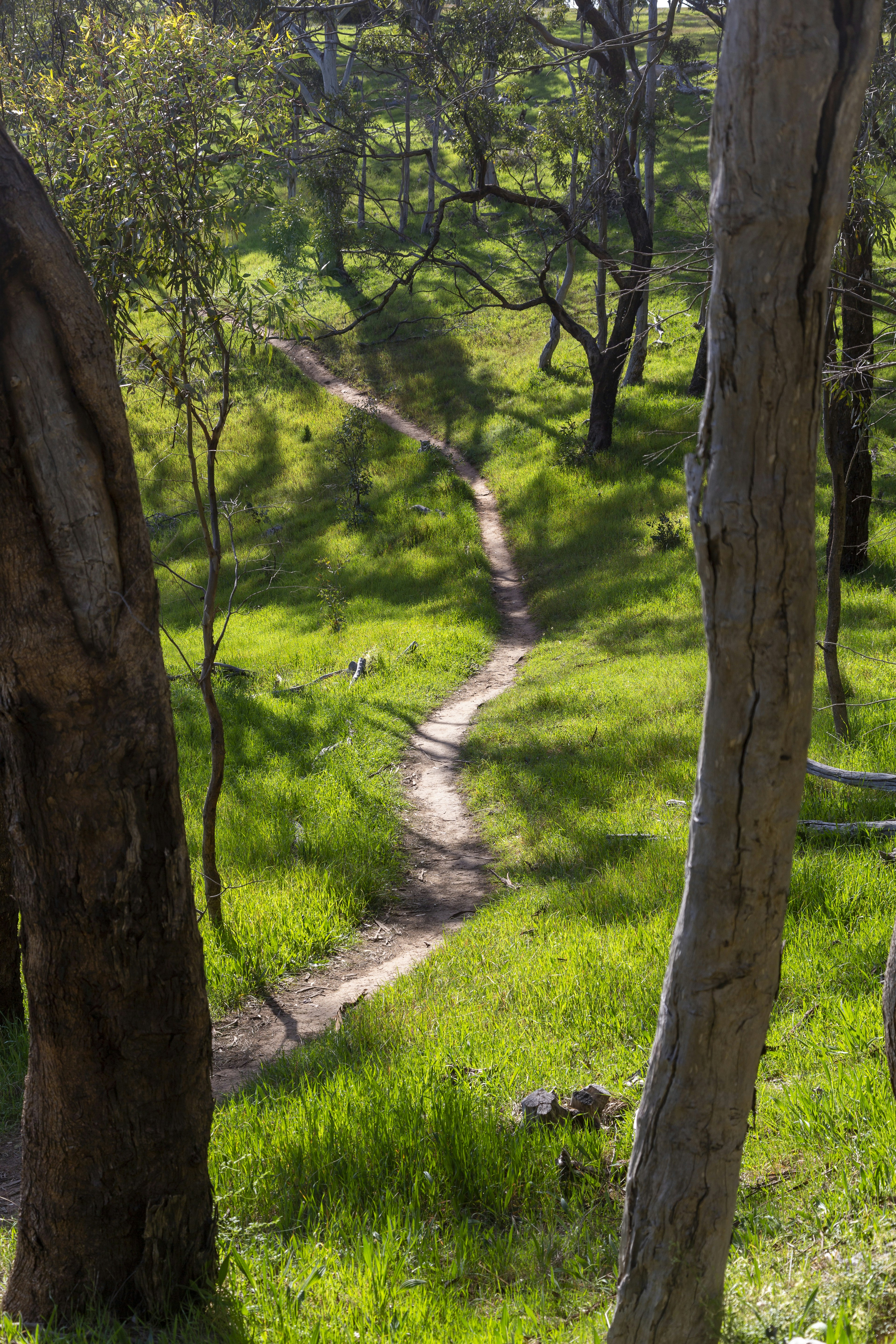 Photo by stephenmabbs