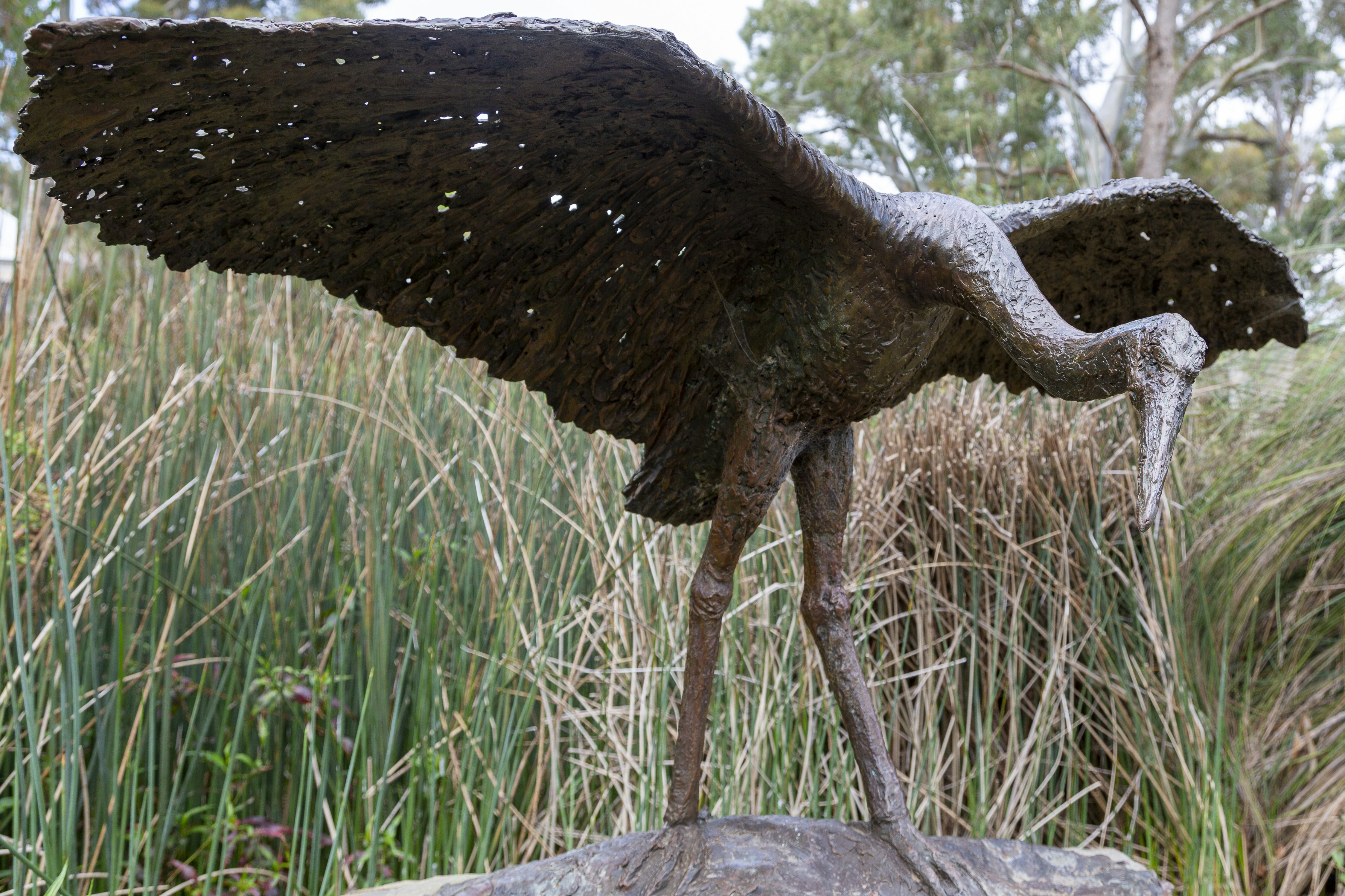 The Prehistoric World of Argentavis (image credits: unsplash)