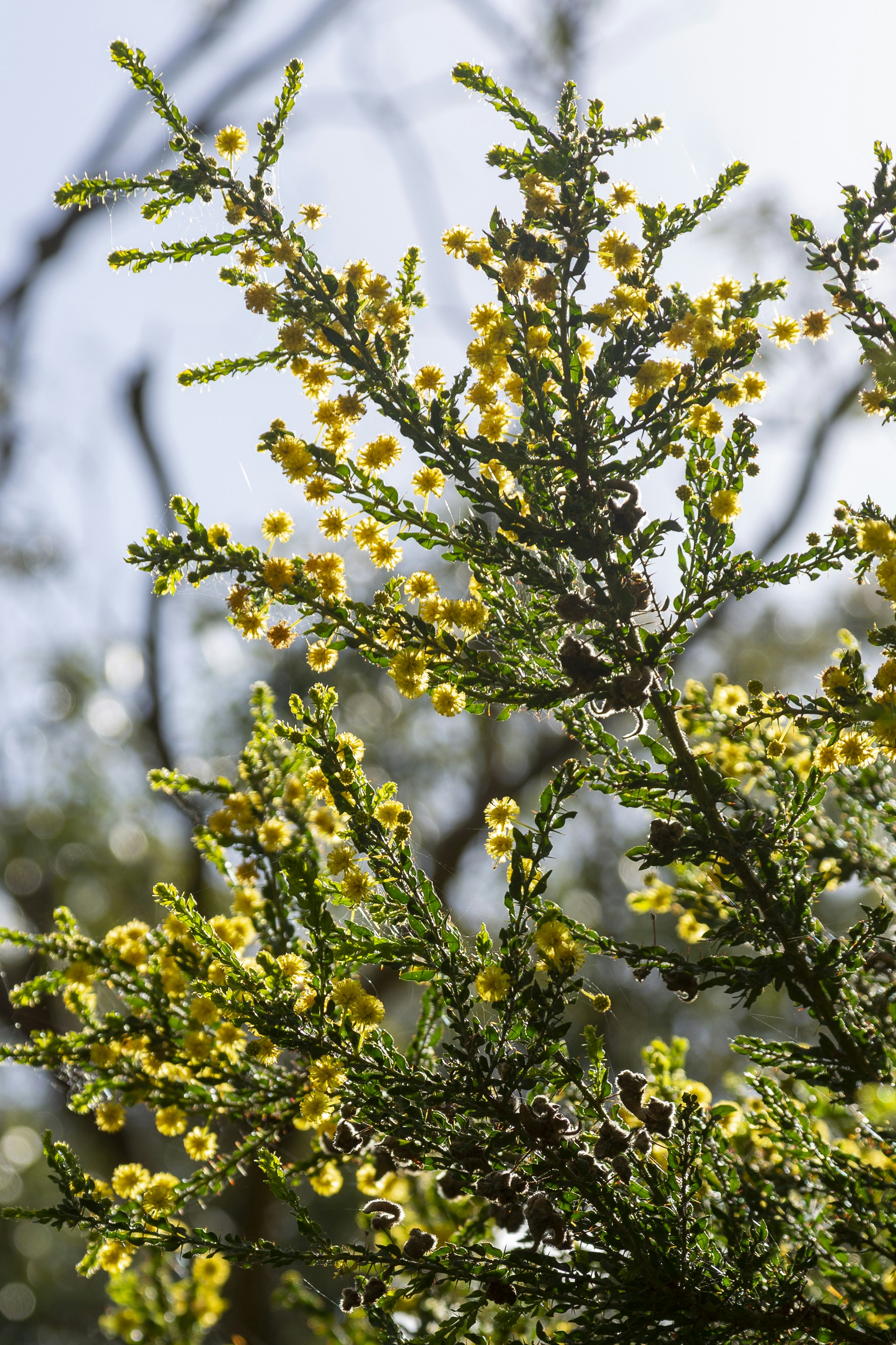 Photo by stephenmabbs