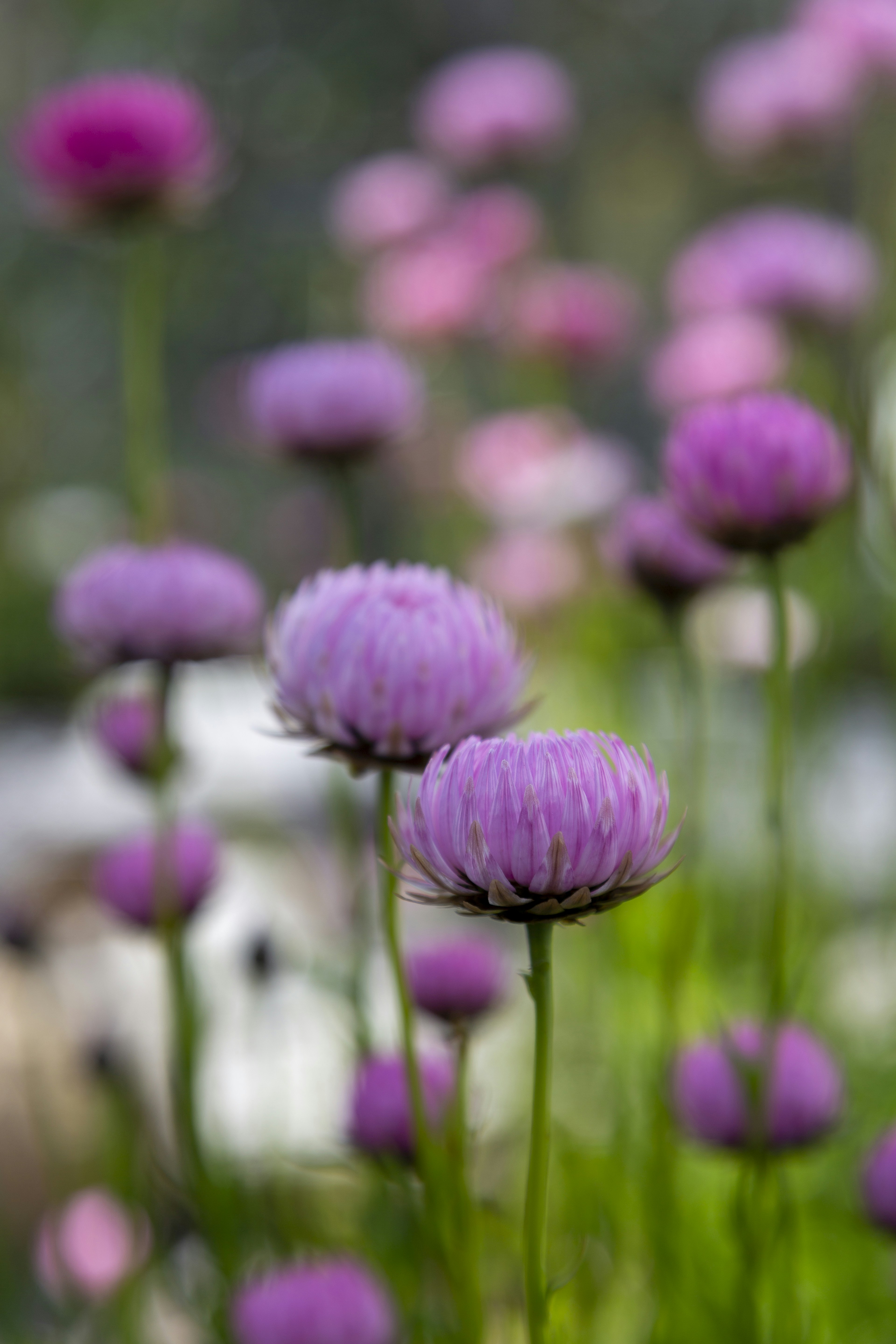 Photo by stephenmabbs