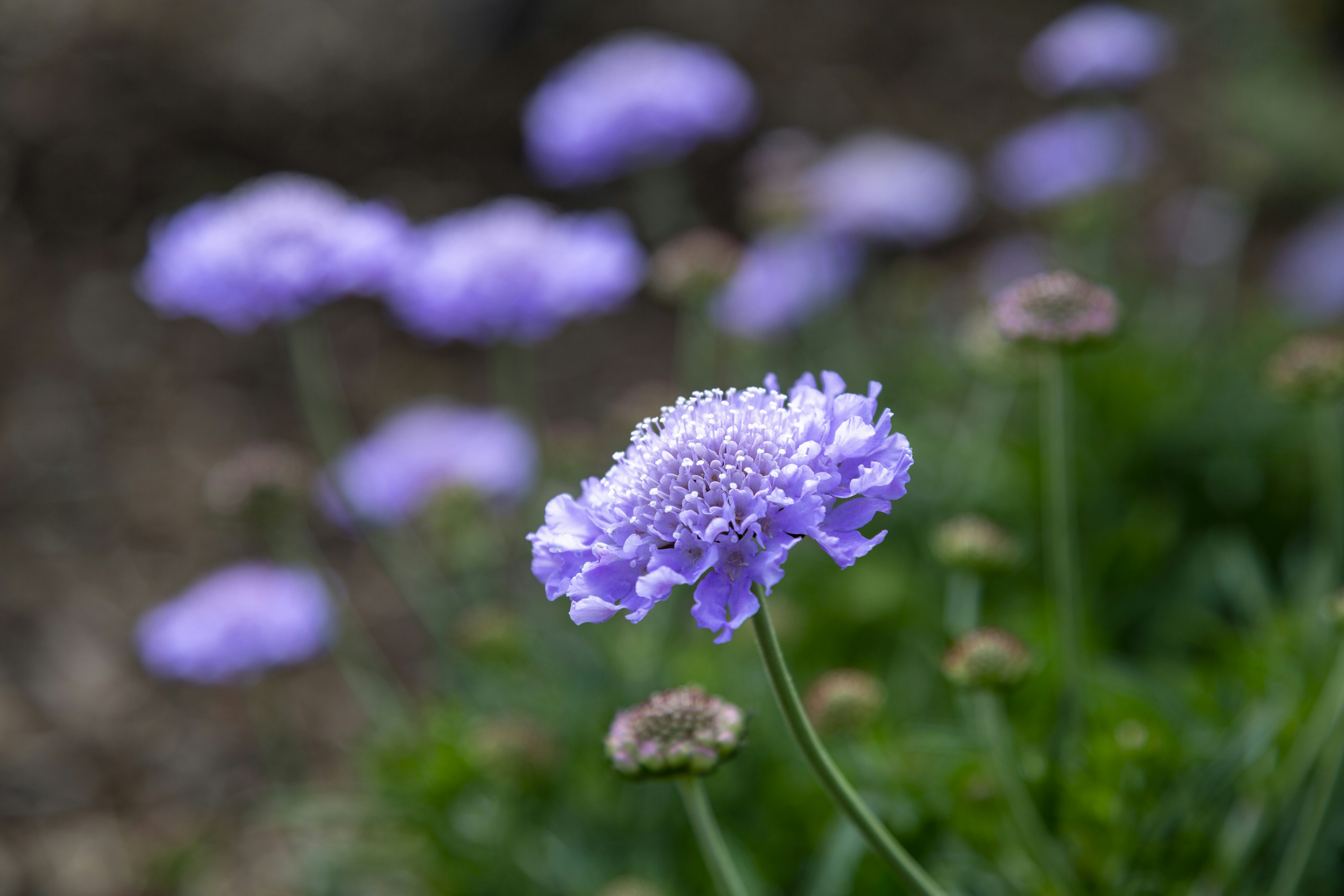 Photo by stephenmabbs