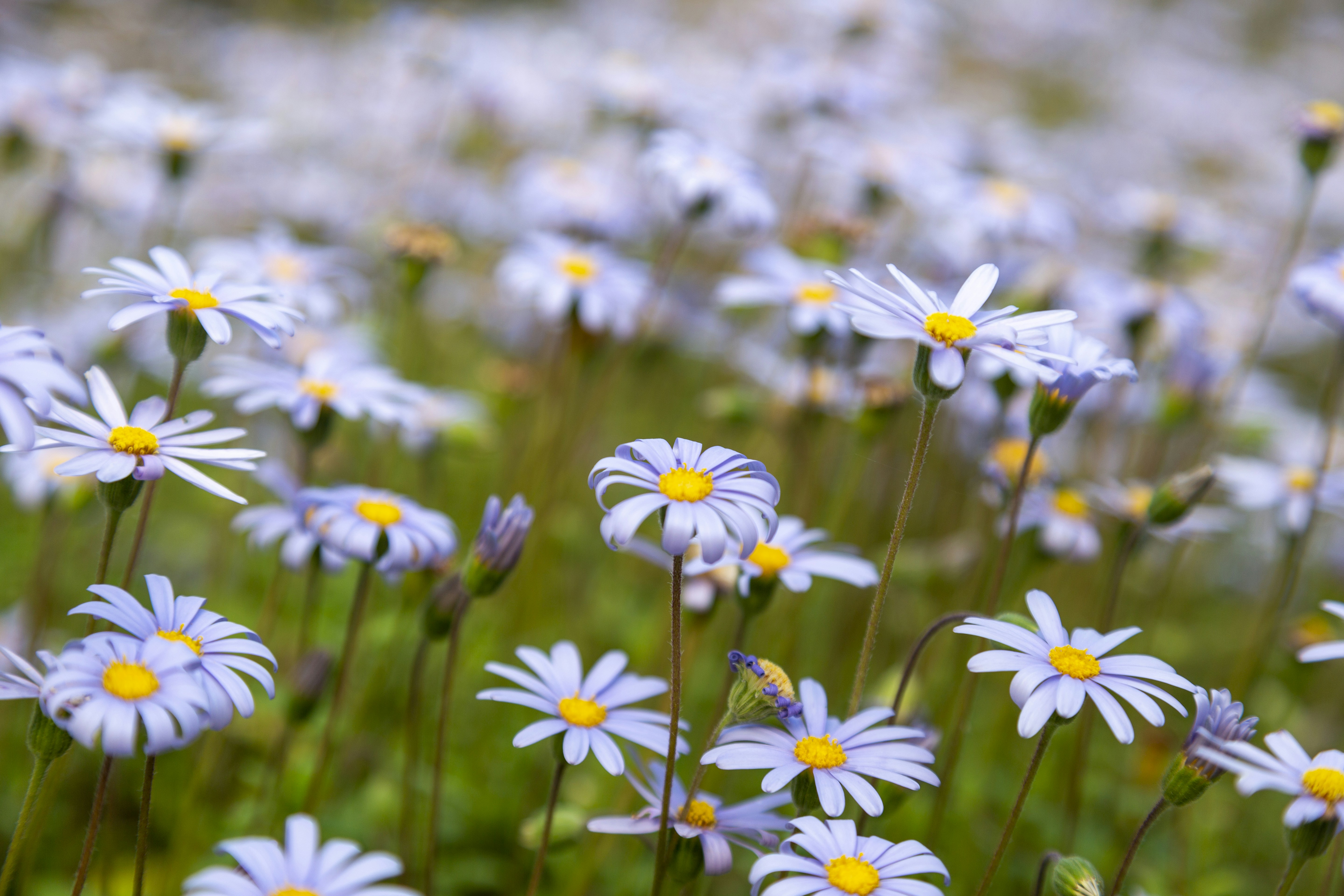 Photo by stephenmabbs