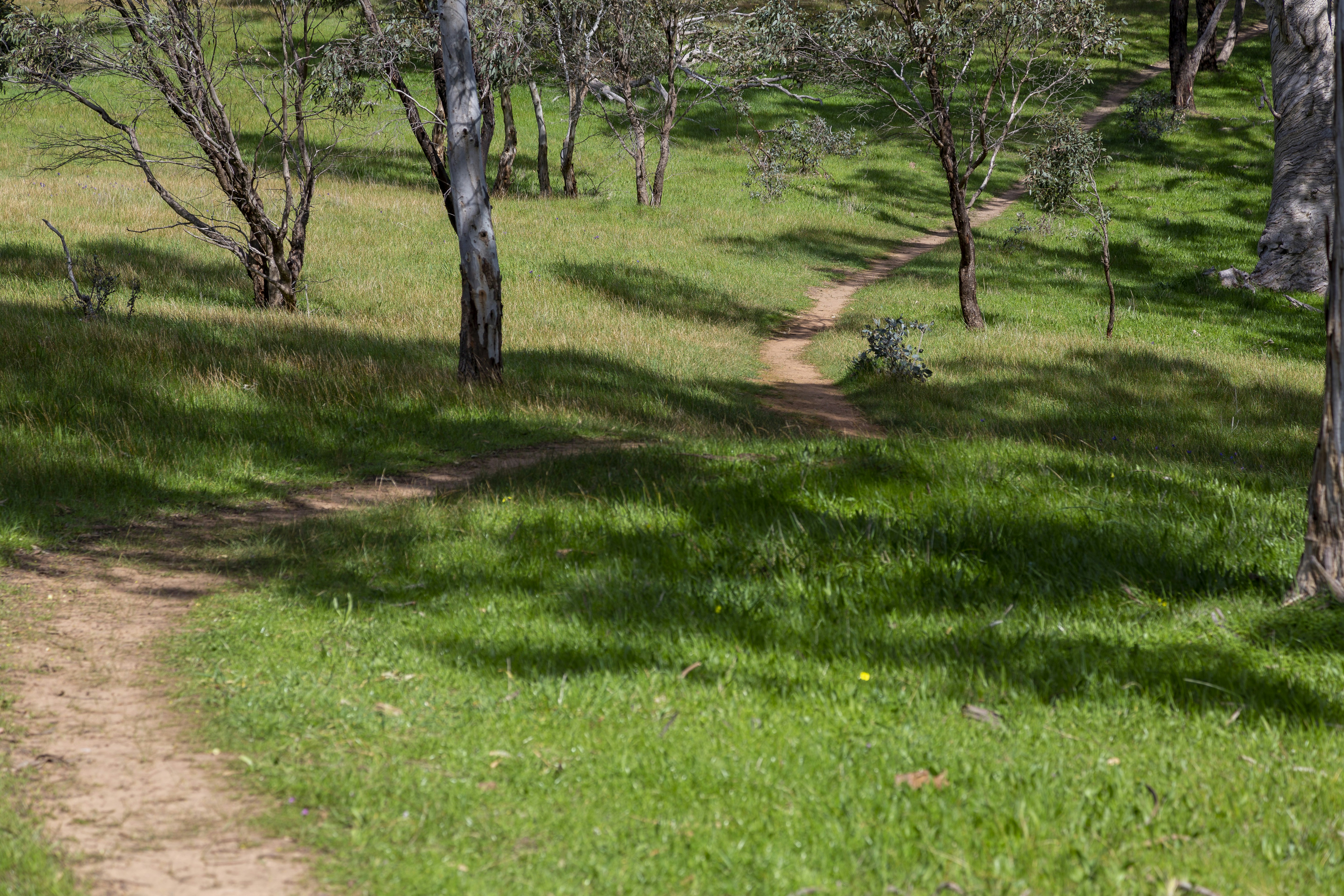 Photo by stephenmabbs