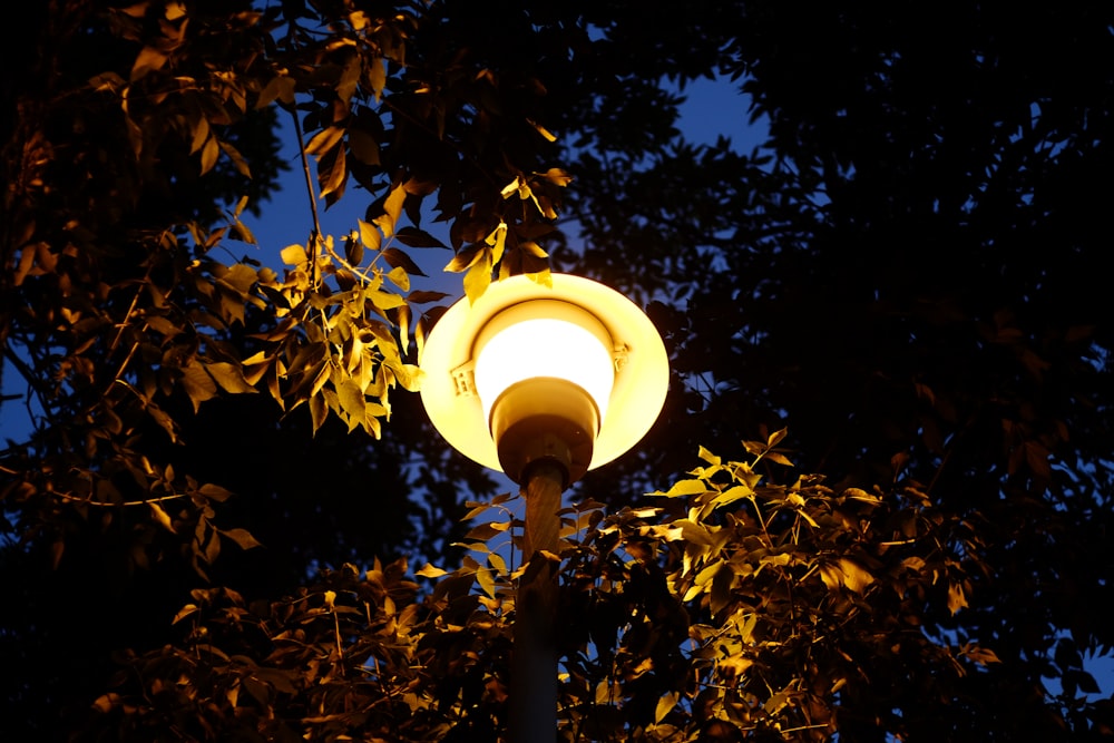 a street light in front of some trees
