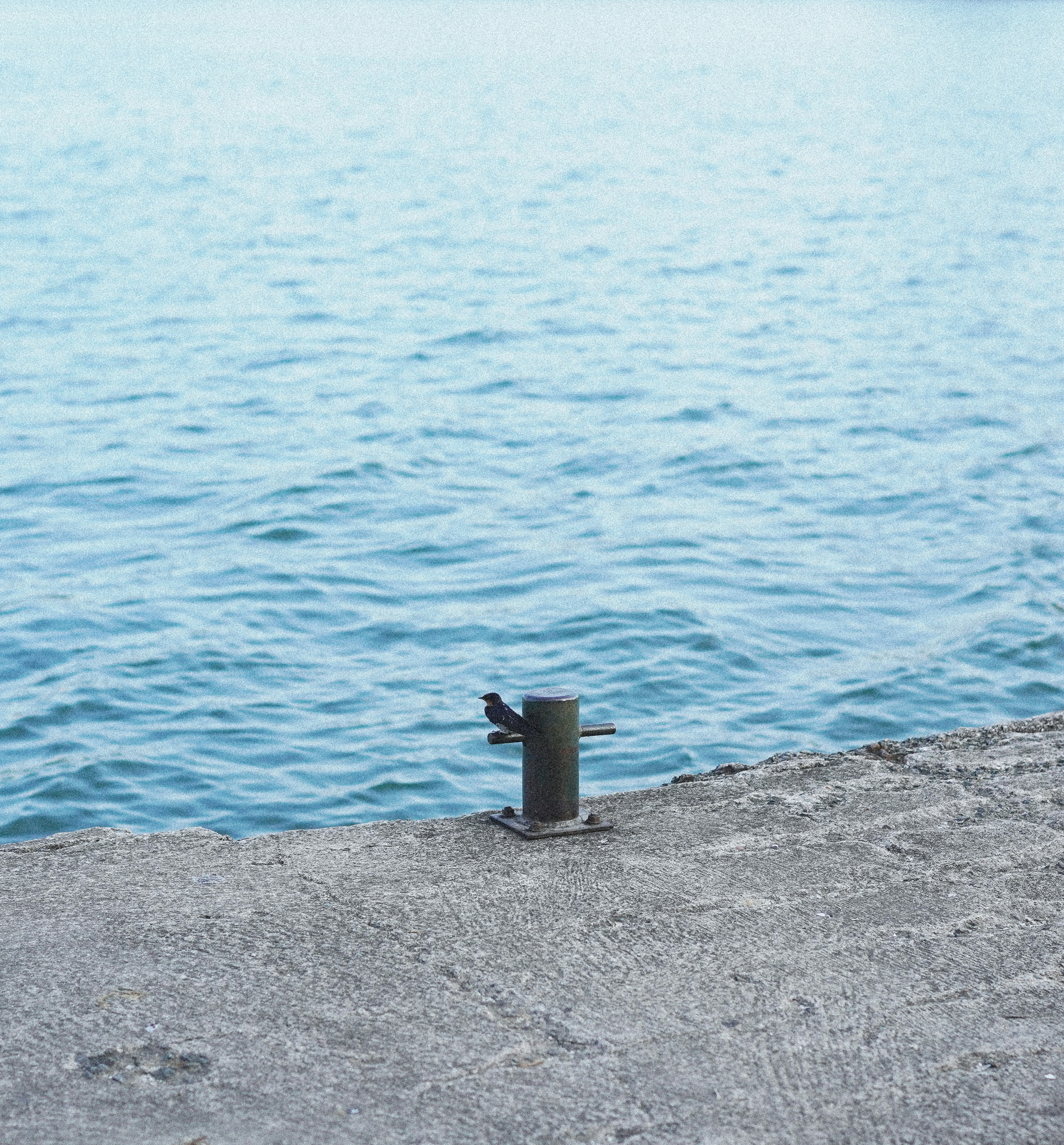 Fc 東京 ユニフォーム ネーム