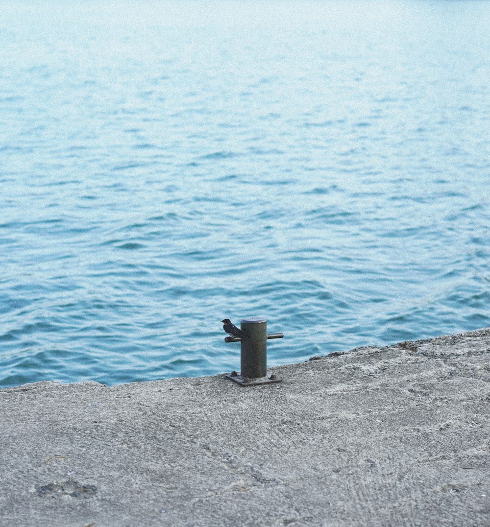 a pipe sticking out of the ground next to a body of water