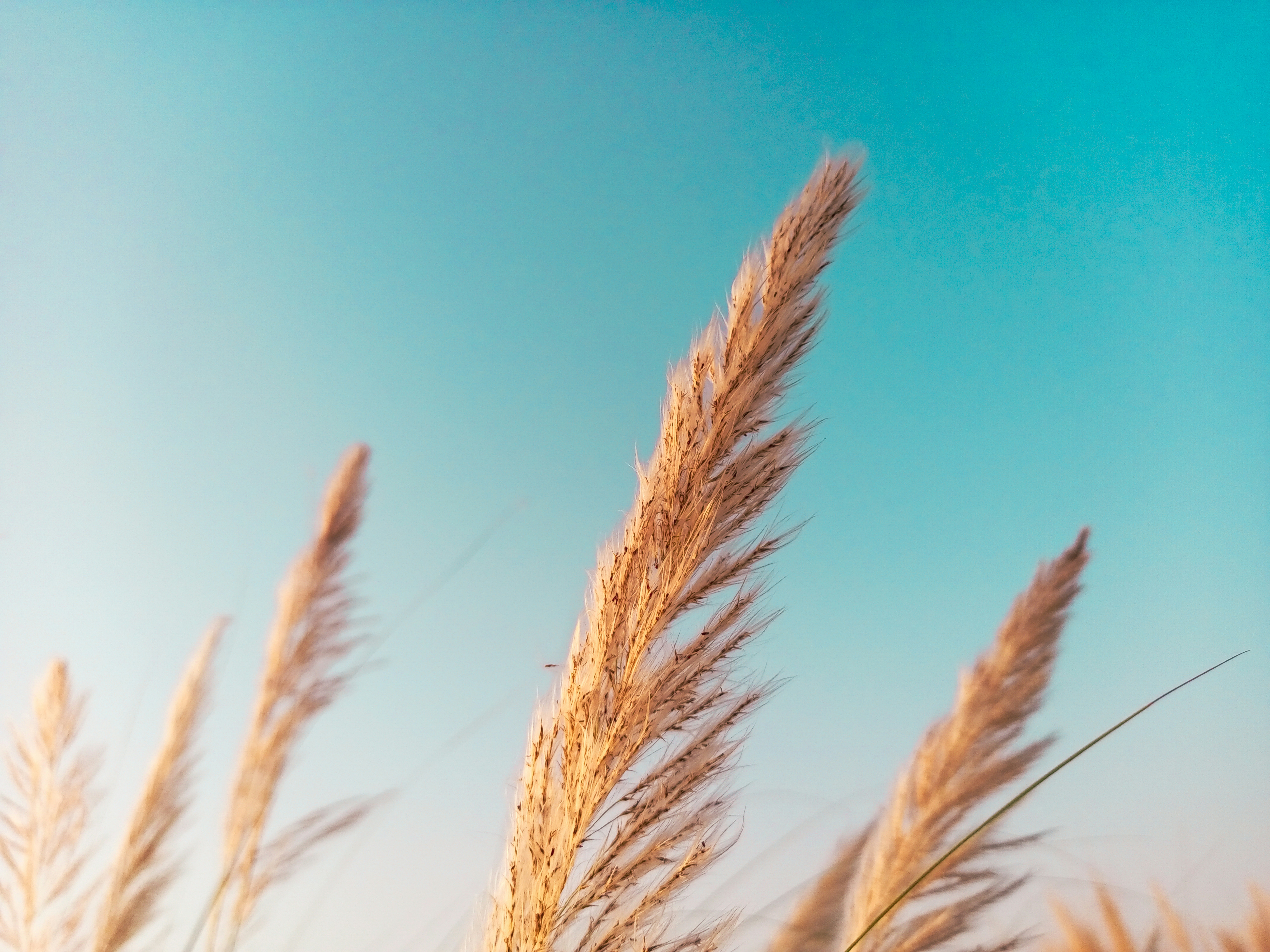 Photo by kamranmazari