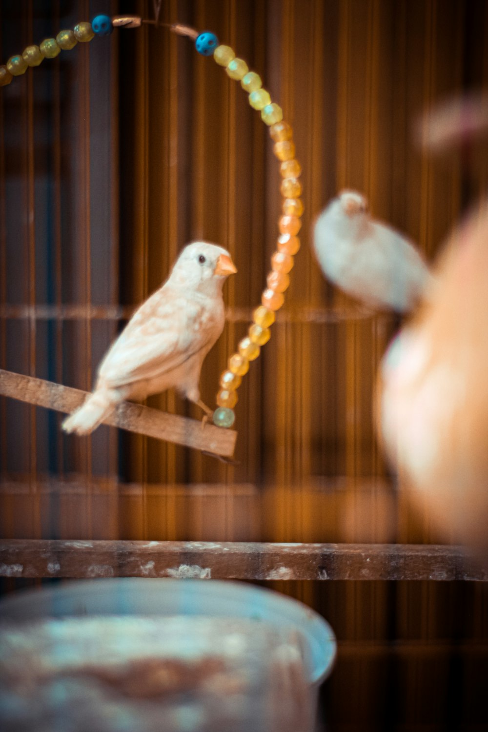 a white bird sitting on top of a wooden stick