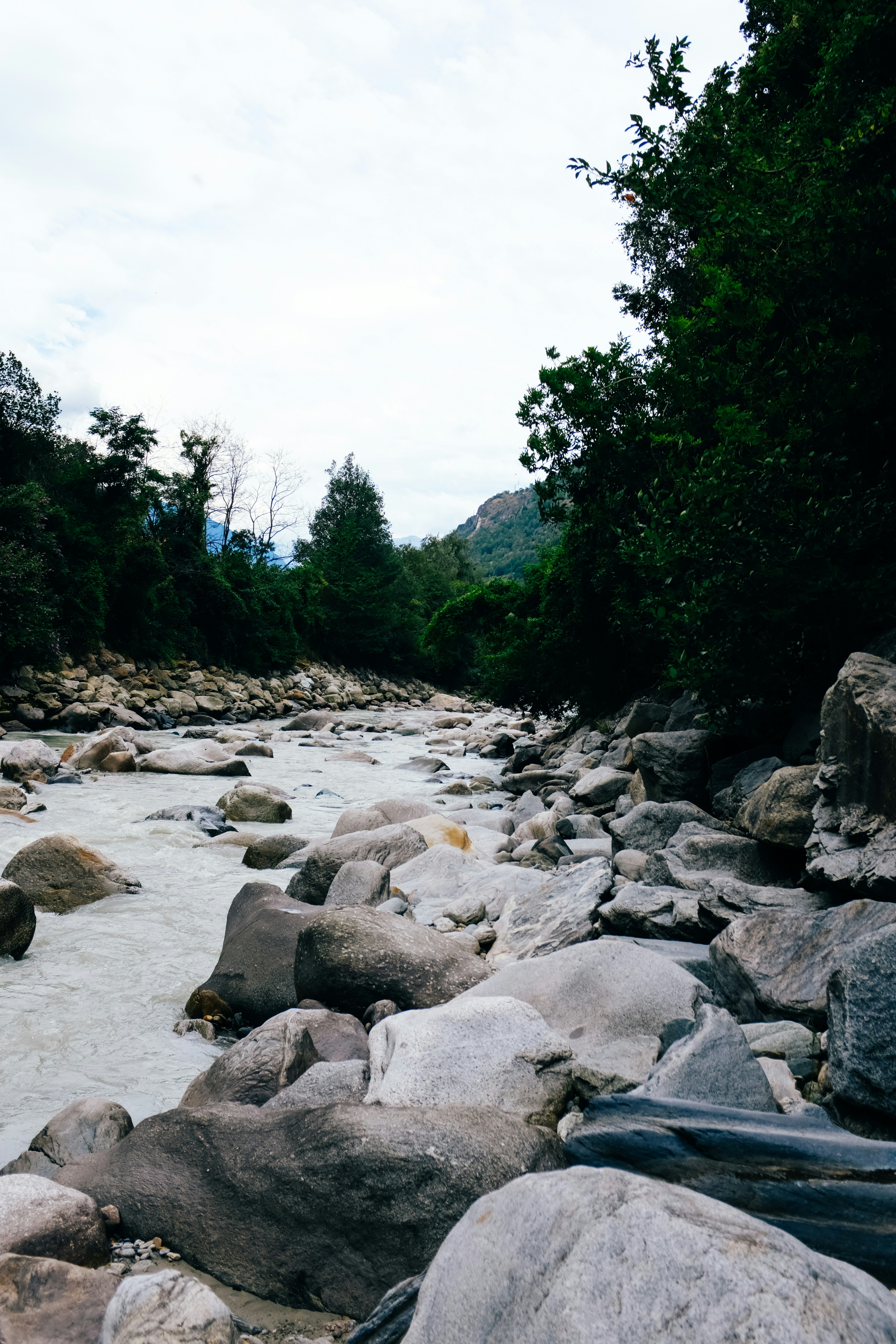 Photo by adrienolichon