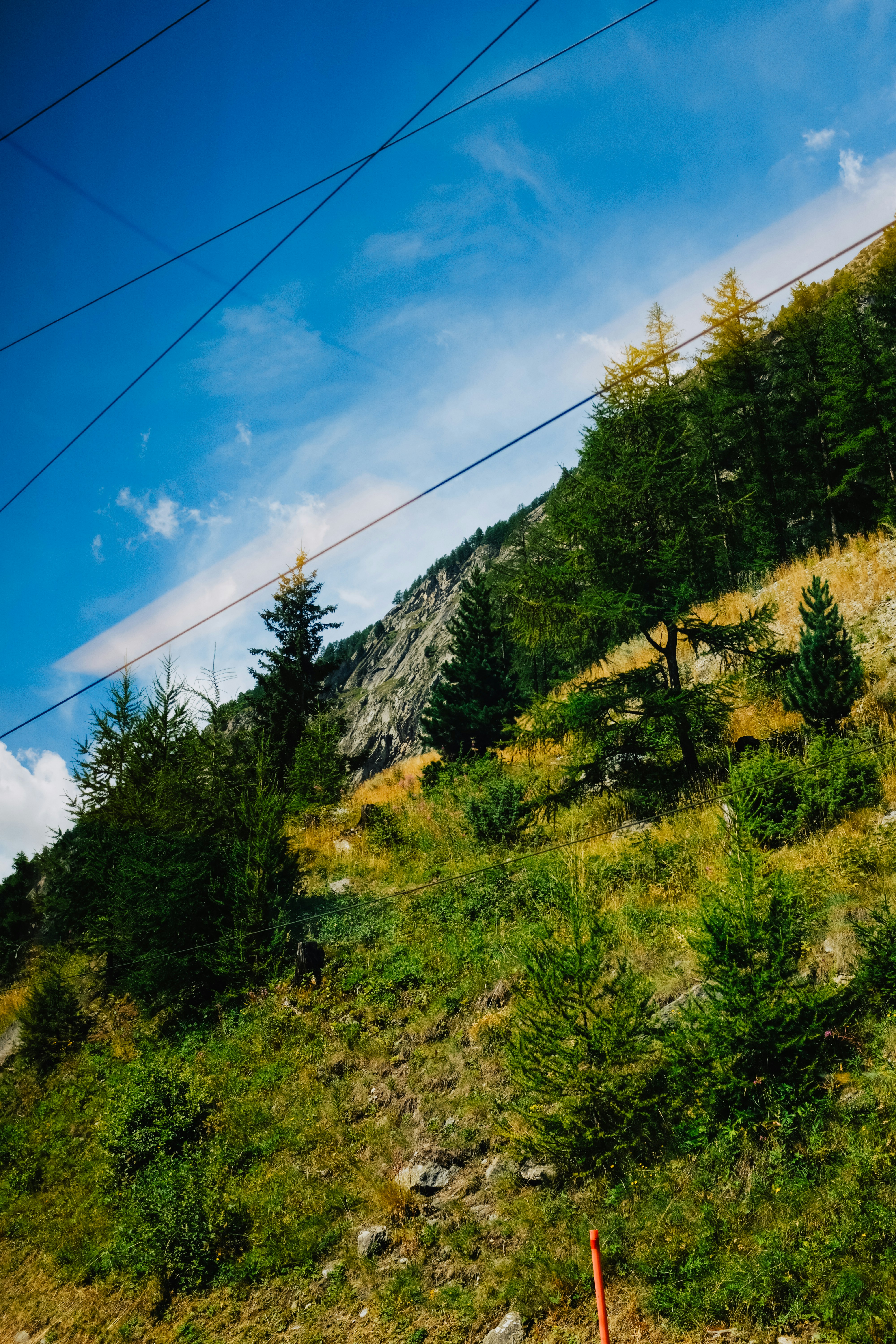 Photo by adrienolichon