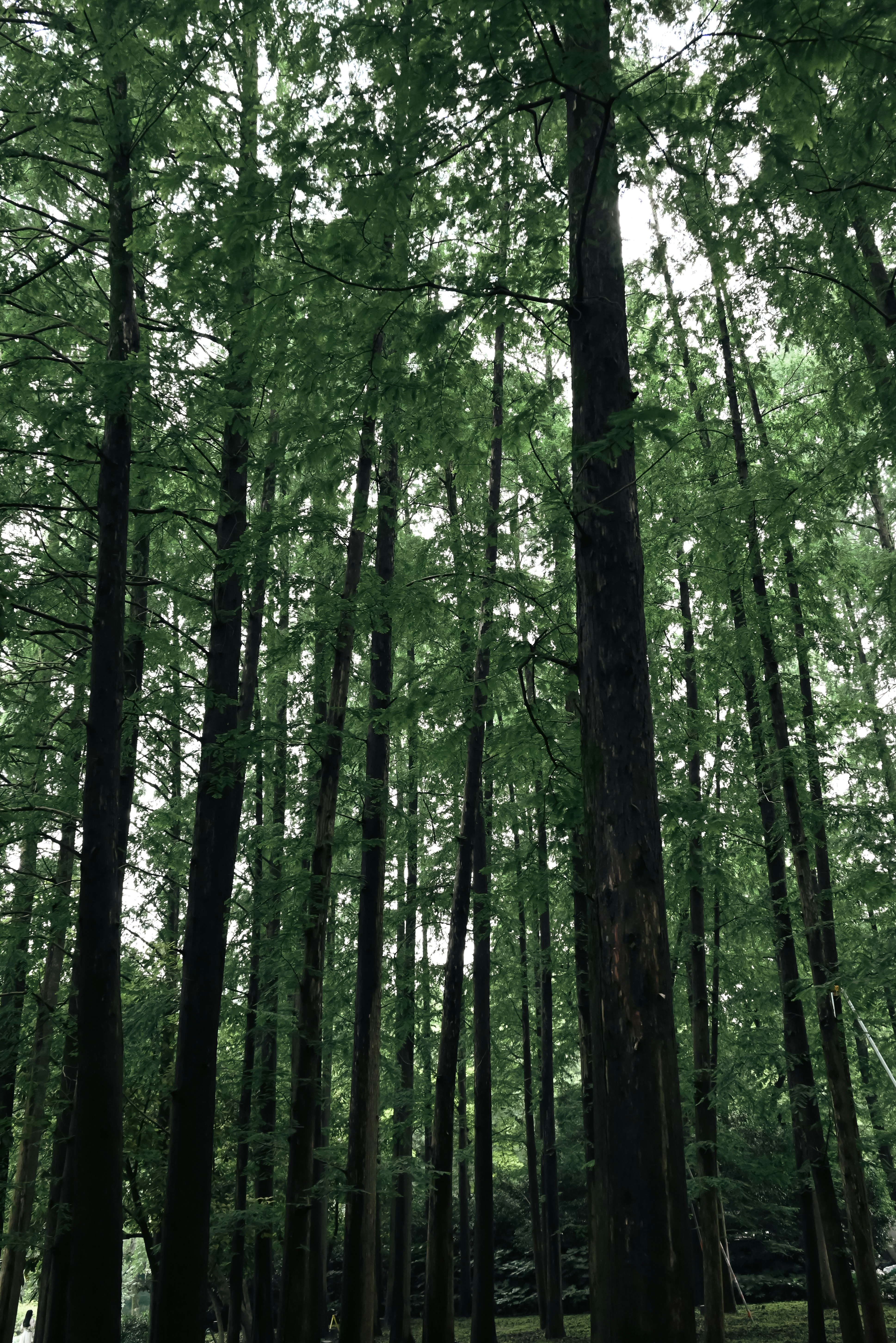 Photo by nikol_royce