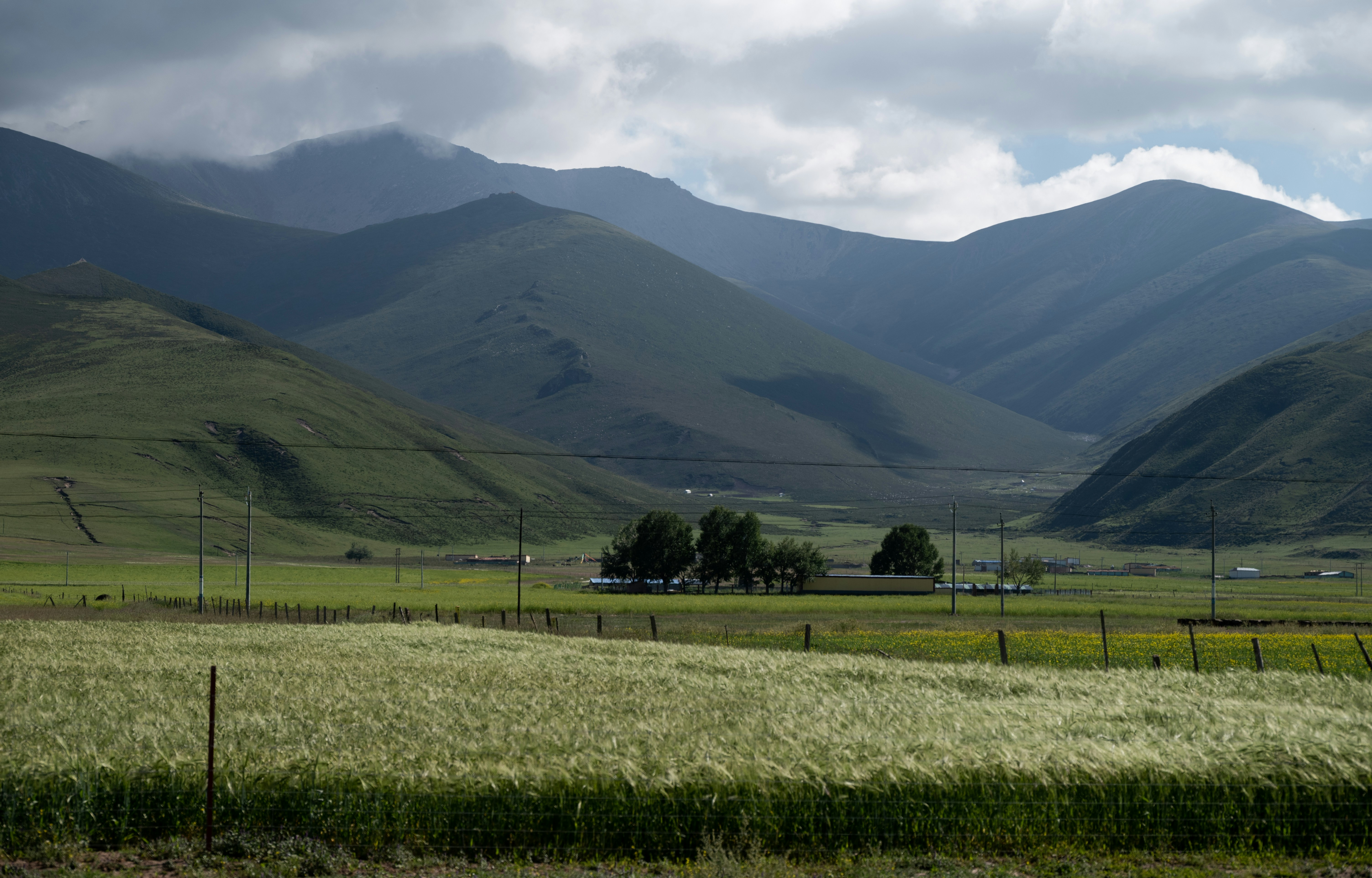 Photo by nikol_royce